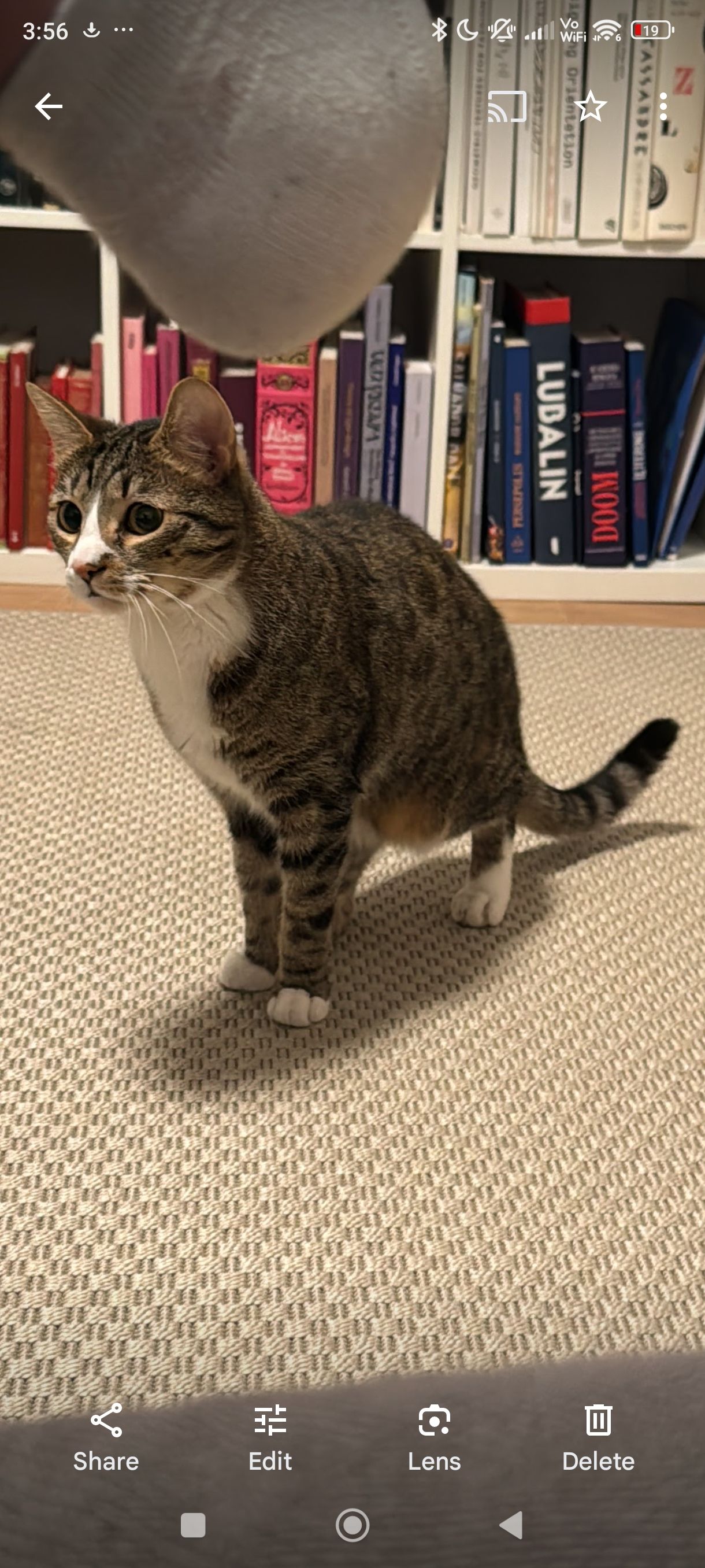 Mono - Aleea Circului, Bucharest