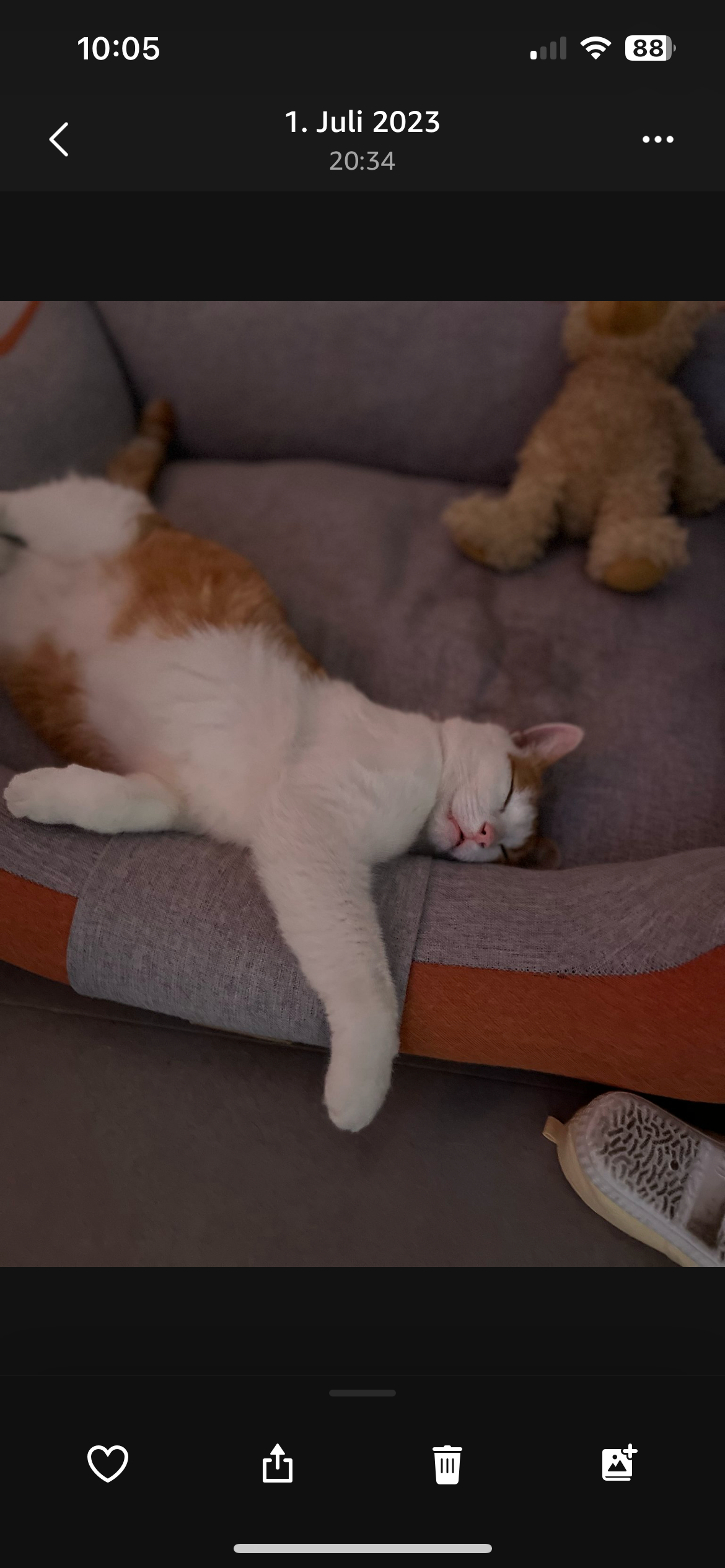 müsli - Sit Montinho Malhao, Alcantarilha