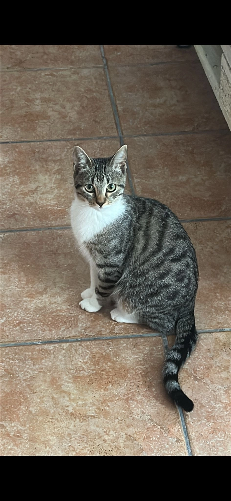 Mía  - Carretera de Riudoms 52, Reus