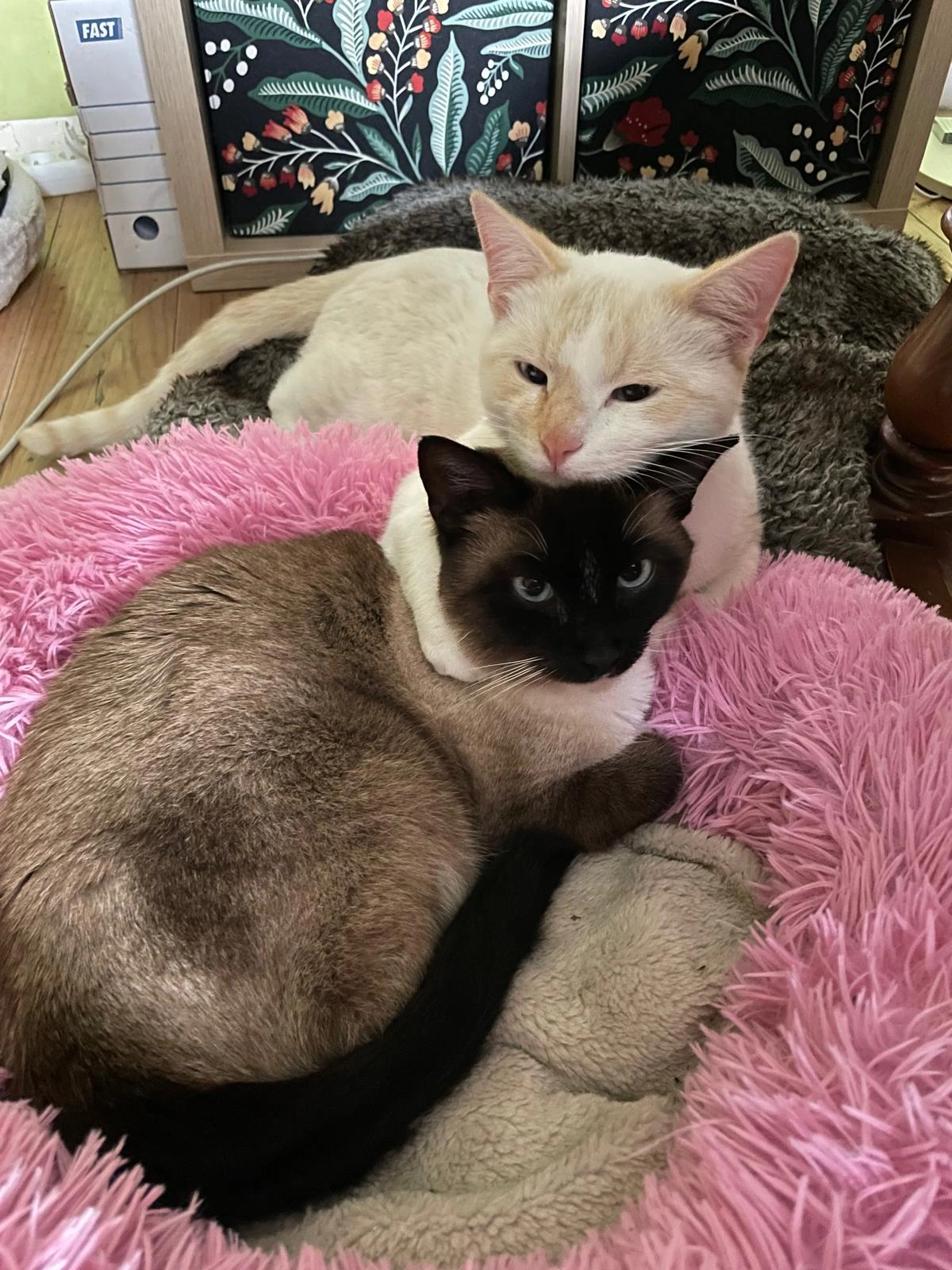 Sanzo - Rue Du Madot, Wanze