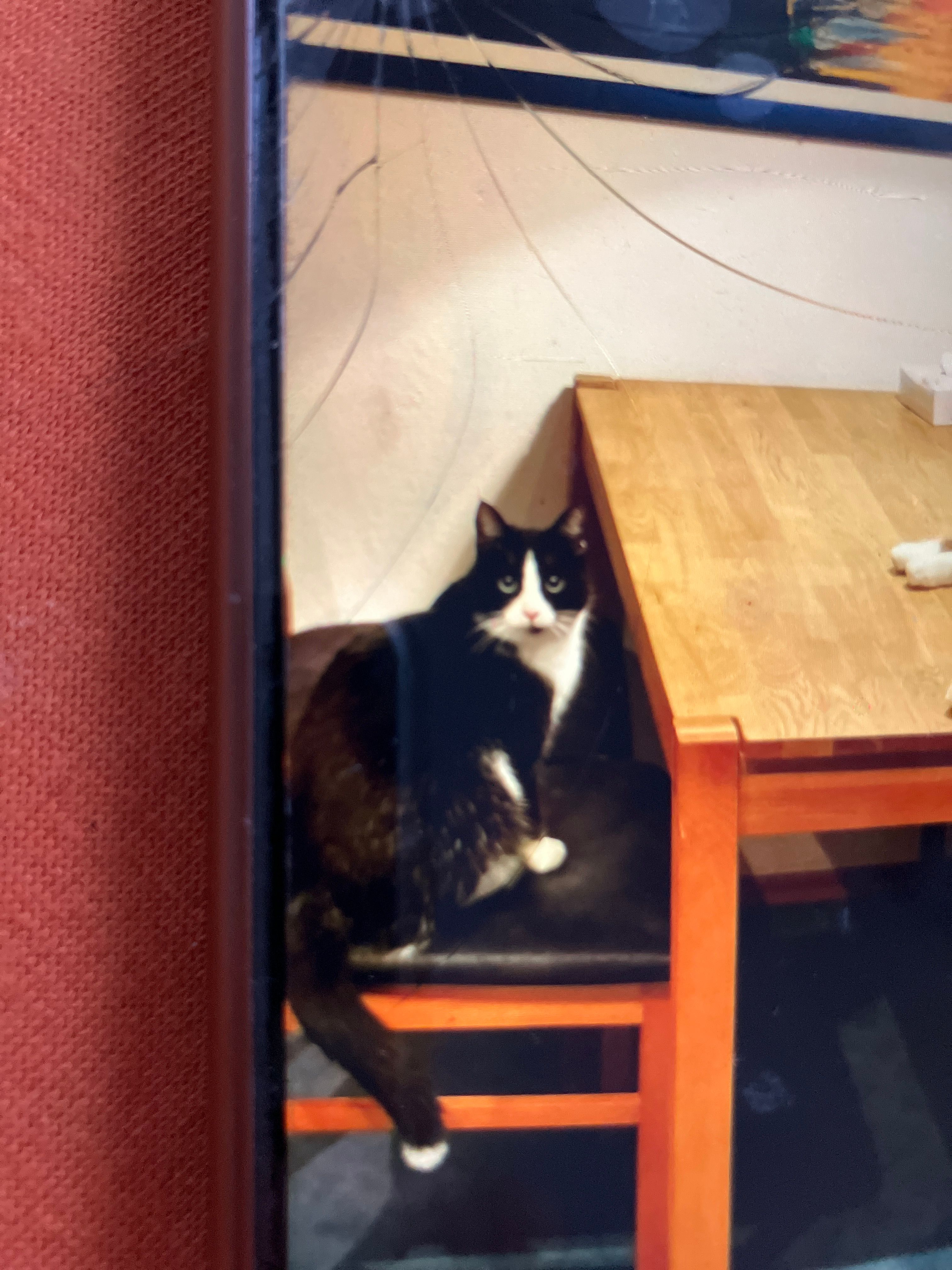 Elli - Kunigundenstraße, Lauf an der Pegnitz