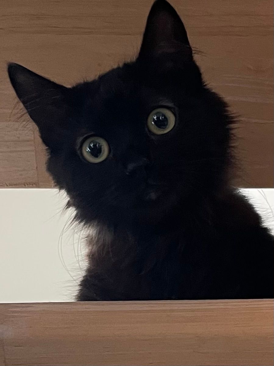 Ilona - 168 Route de la Vagère, Val-de-Chaise