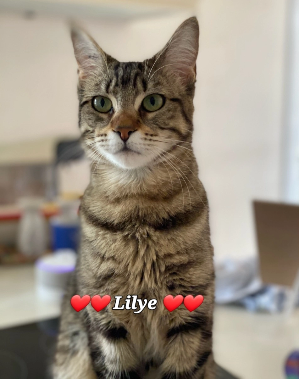 Lilie - 8 Chemin de Gritcholles, Salies-de-Béarn