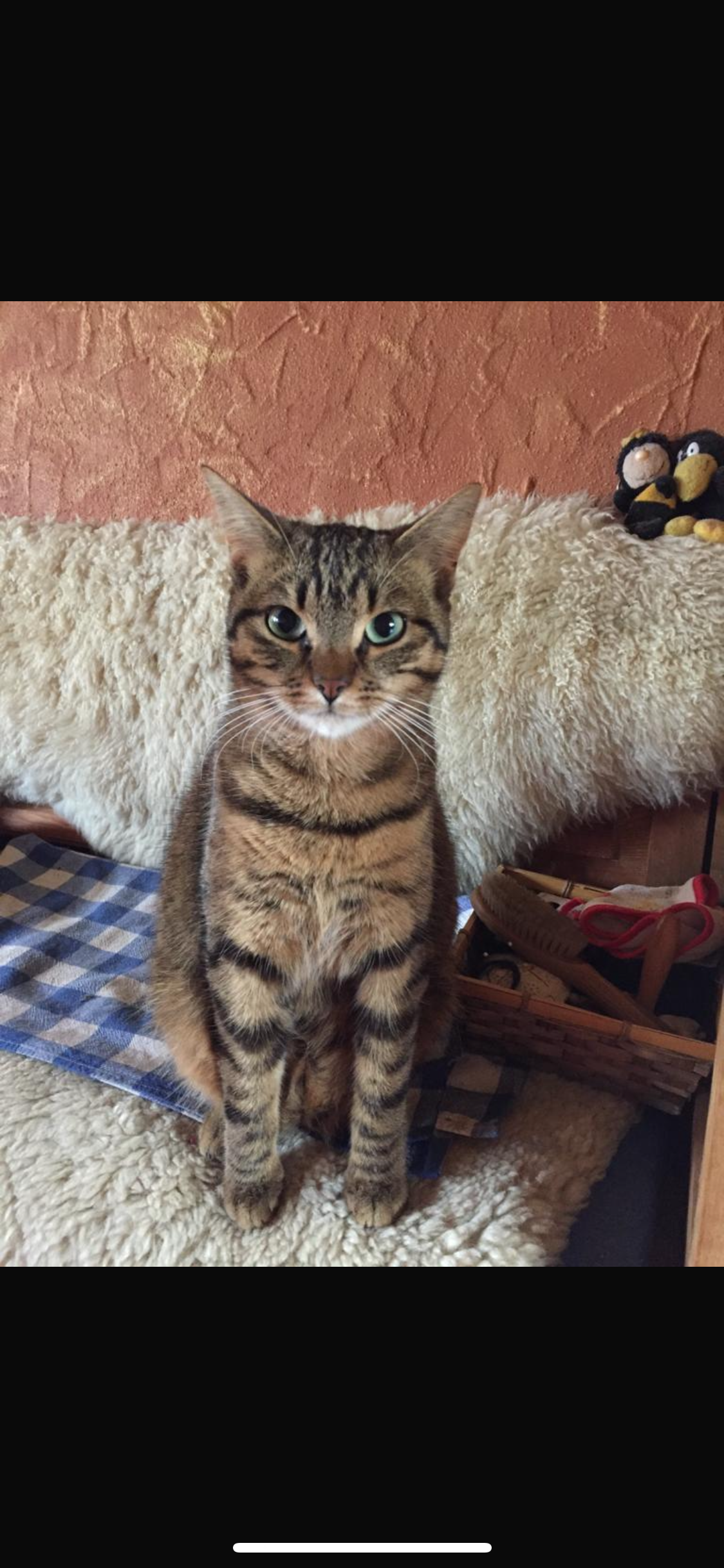 Bonnie  - Gebirgspionierstraße, Mittenwald