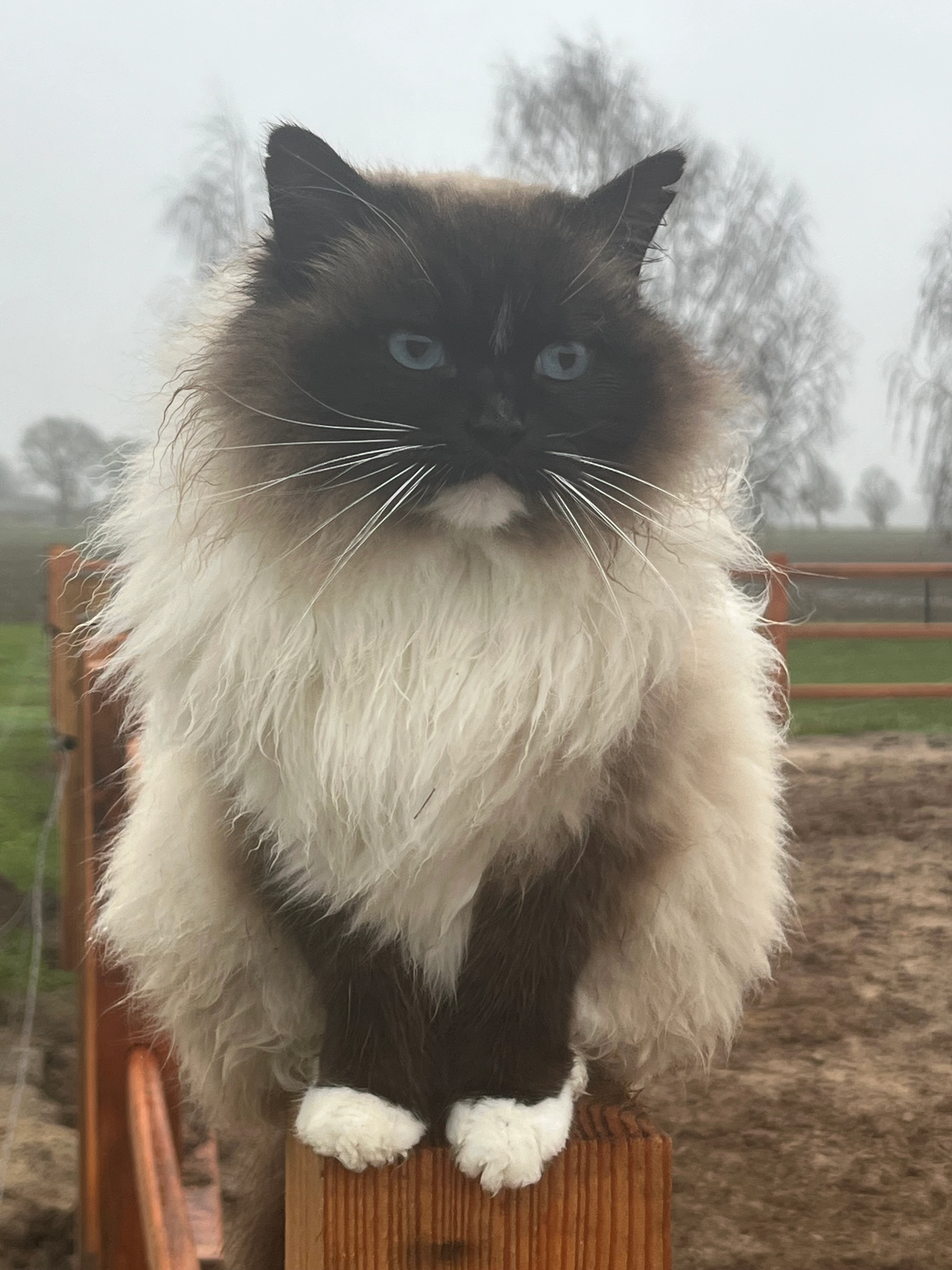 Lilo - 7756, Stieltjeskanaal