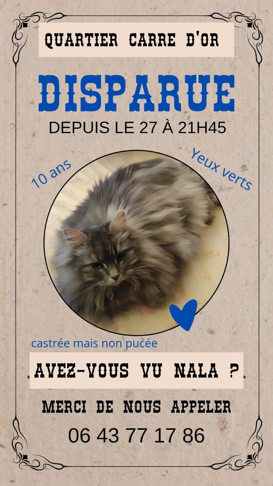 Nala - Rue de l'Oiseau de Feu, Lucé