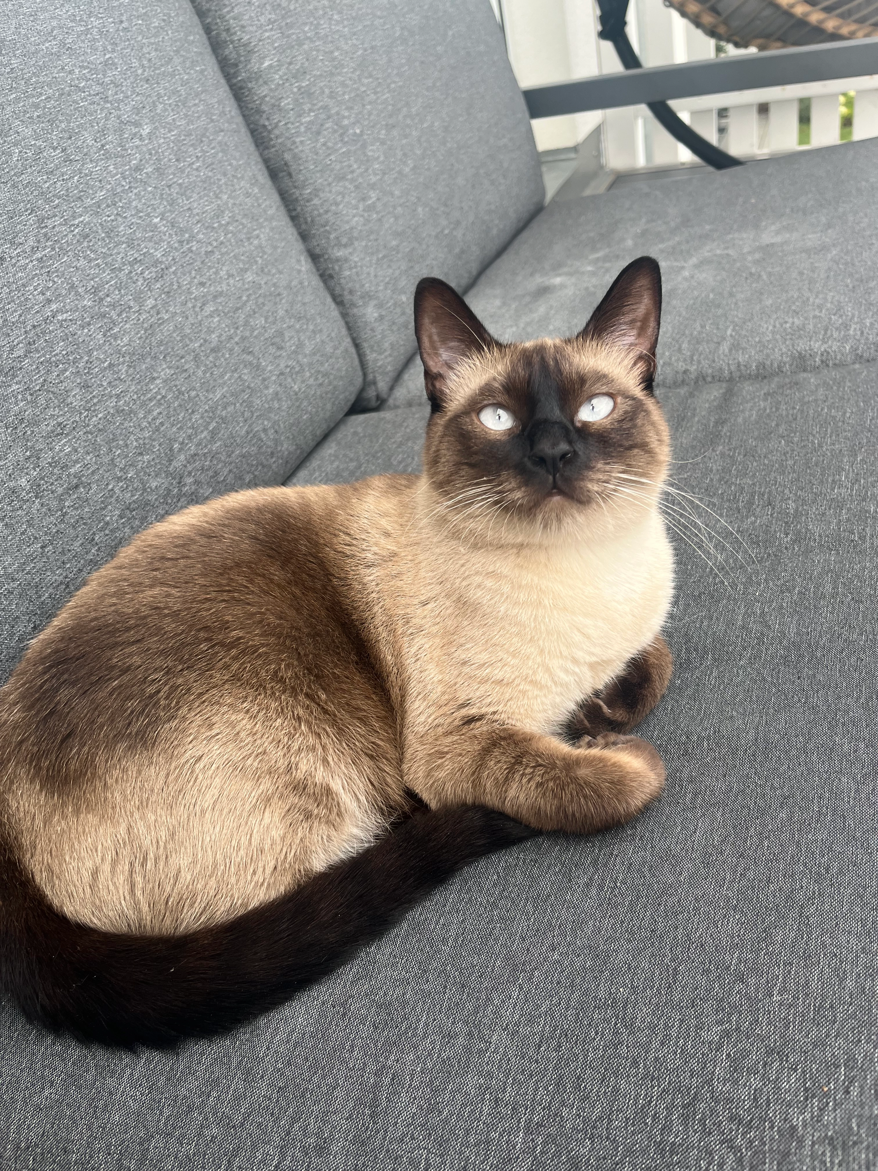 Blue - Felix-Kempf-Straße, Offenburg