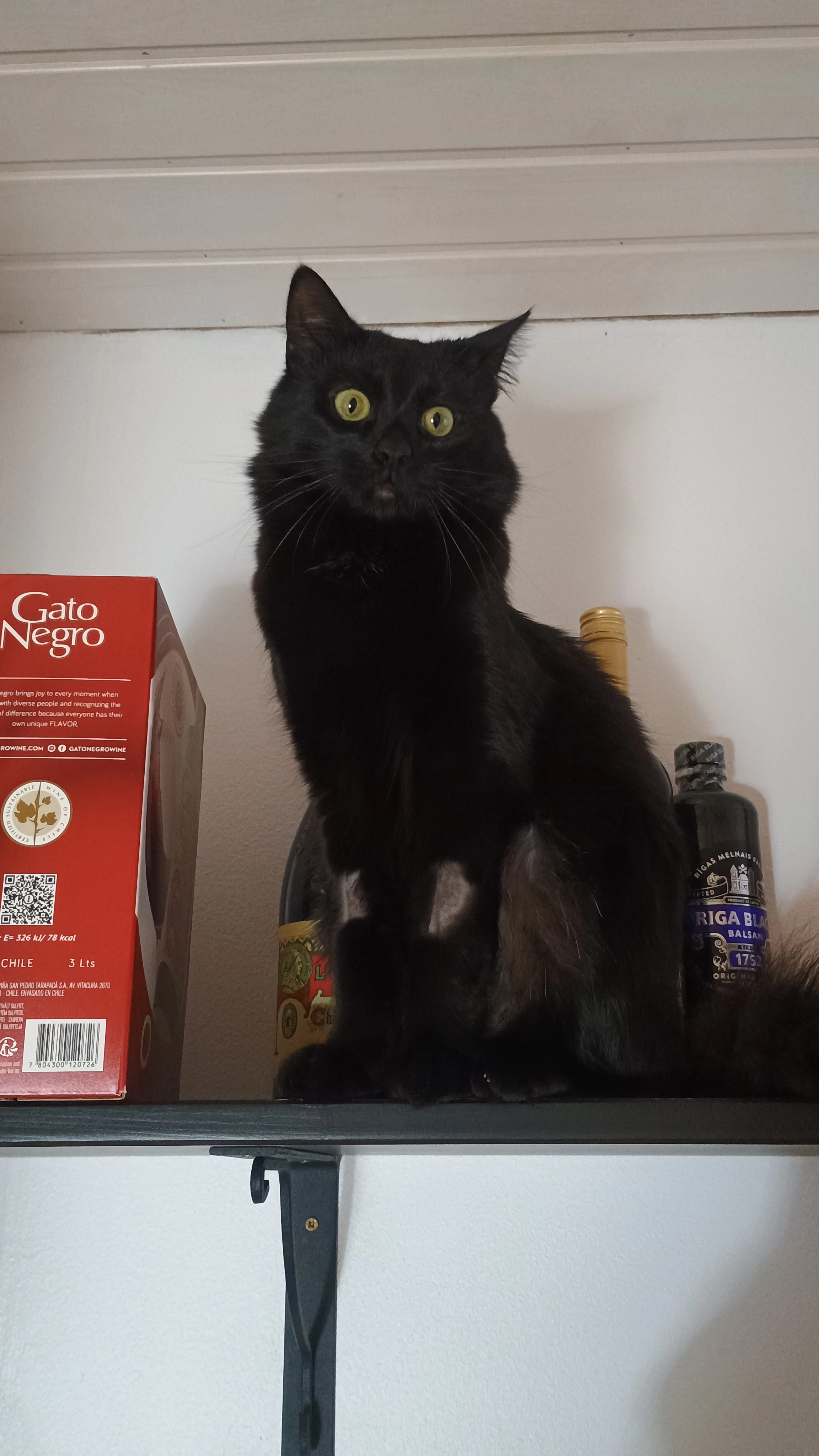 Kusti - Taka-Niipperin Tie, Espoo