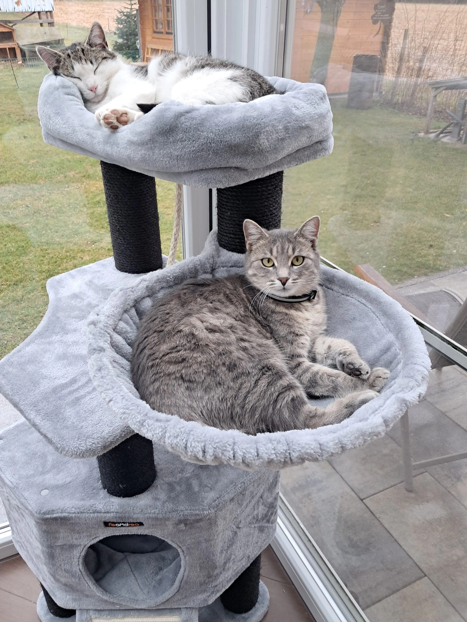 Bella - Loh, Kallmünz