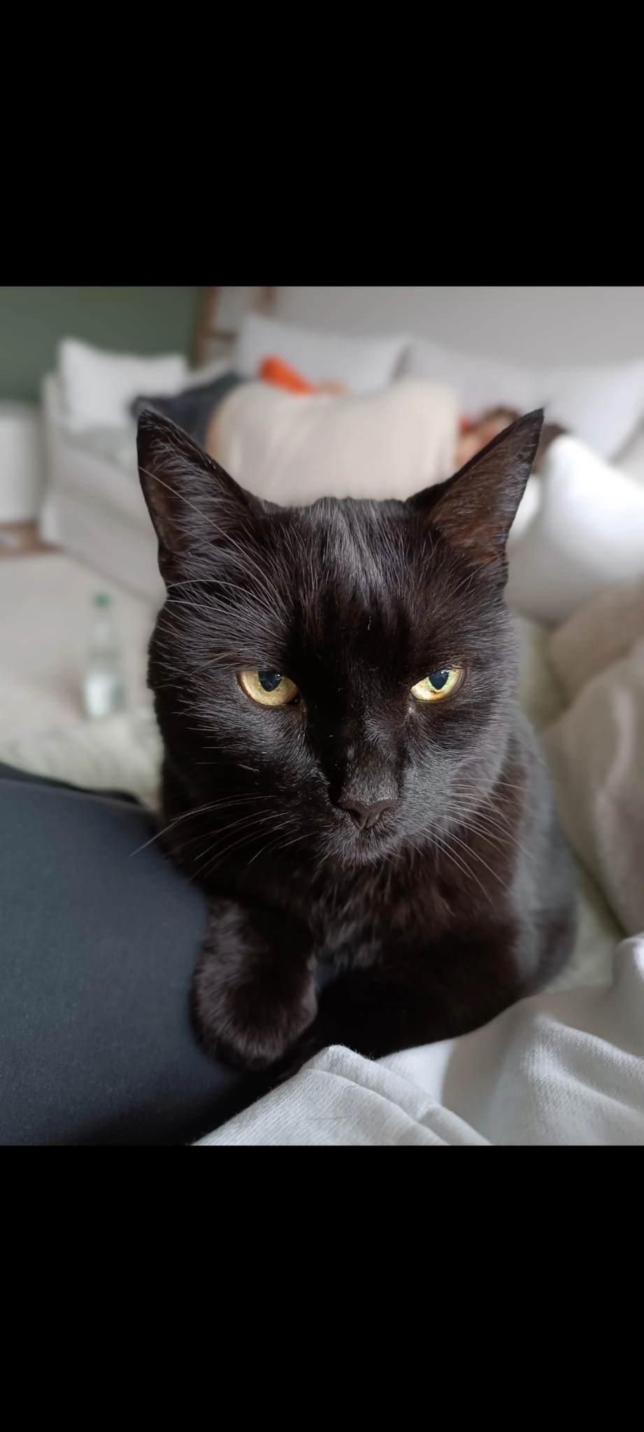 Lucy - Behnhof 17 , 23845 Oering