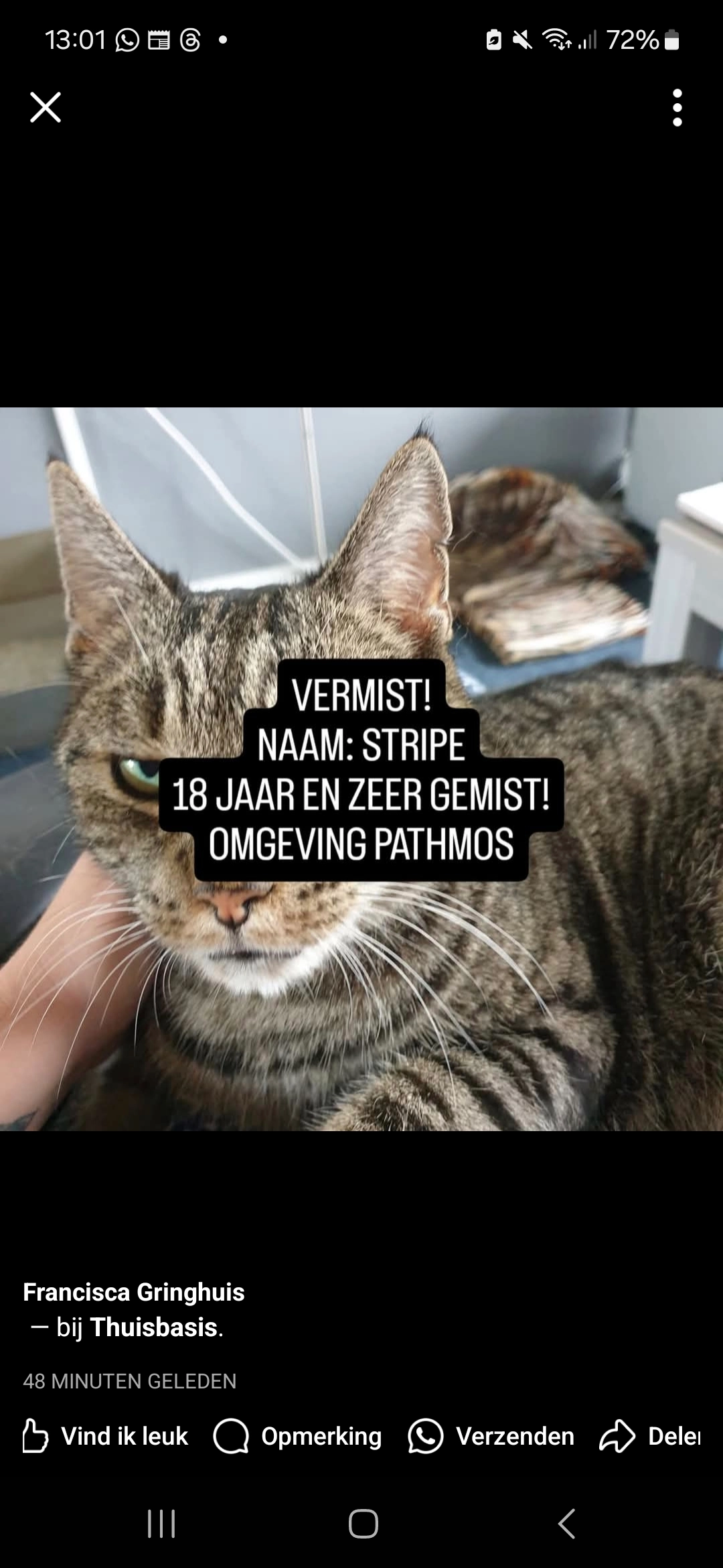 Stripe - 7545, Enschede