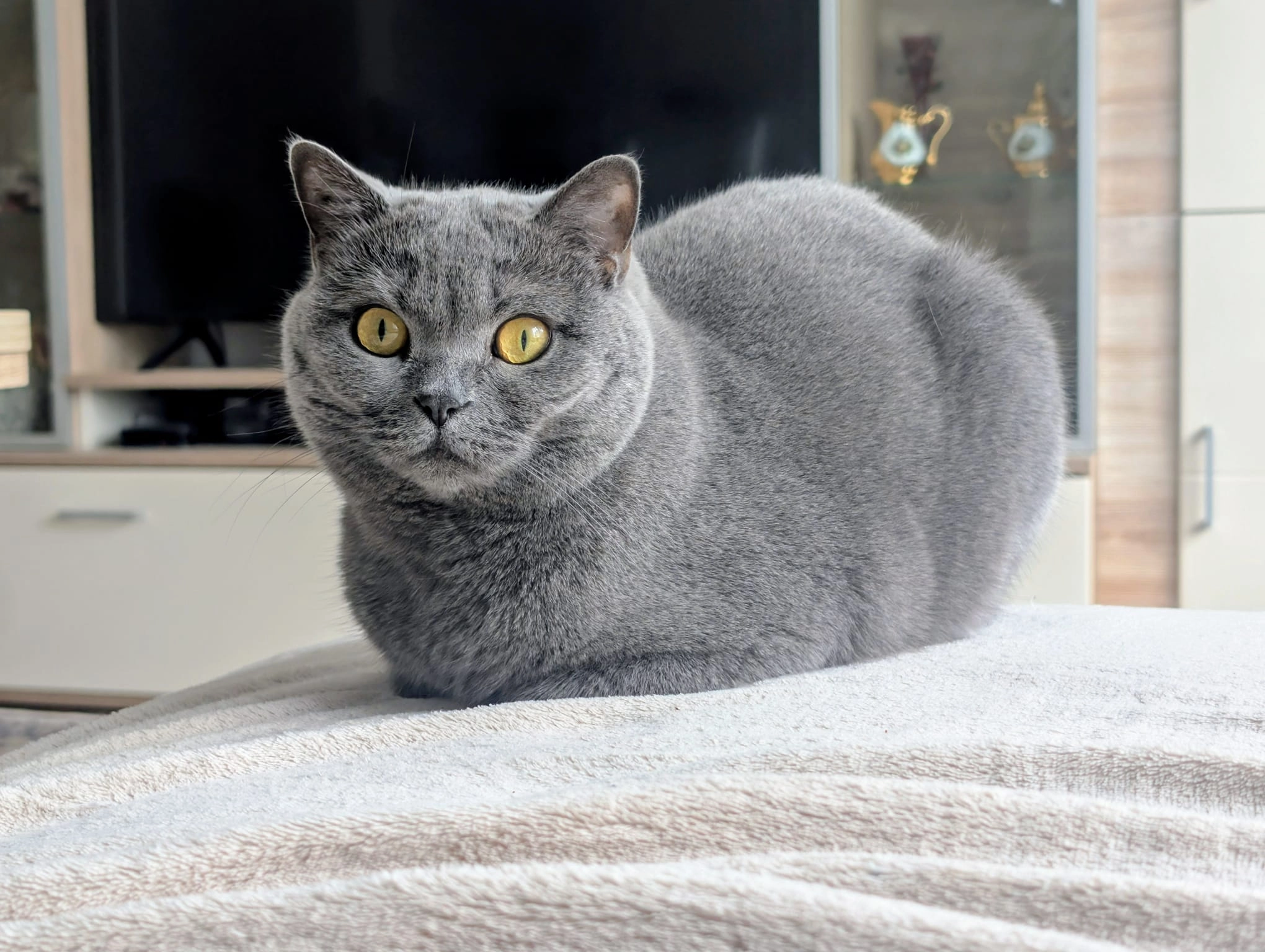 Tapsi - Gneisenaustraße, Arnsberg