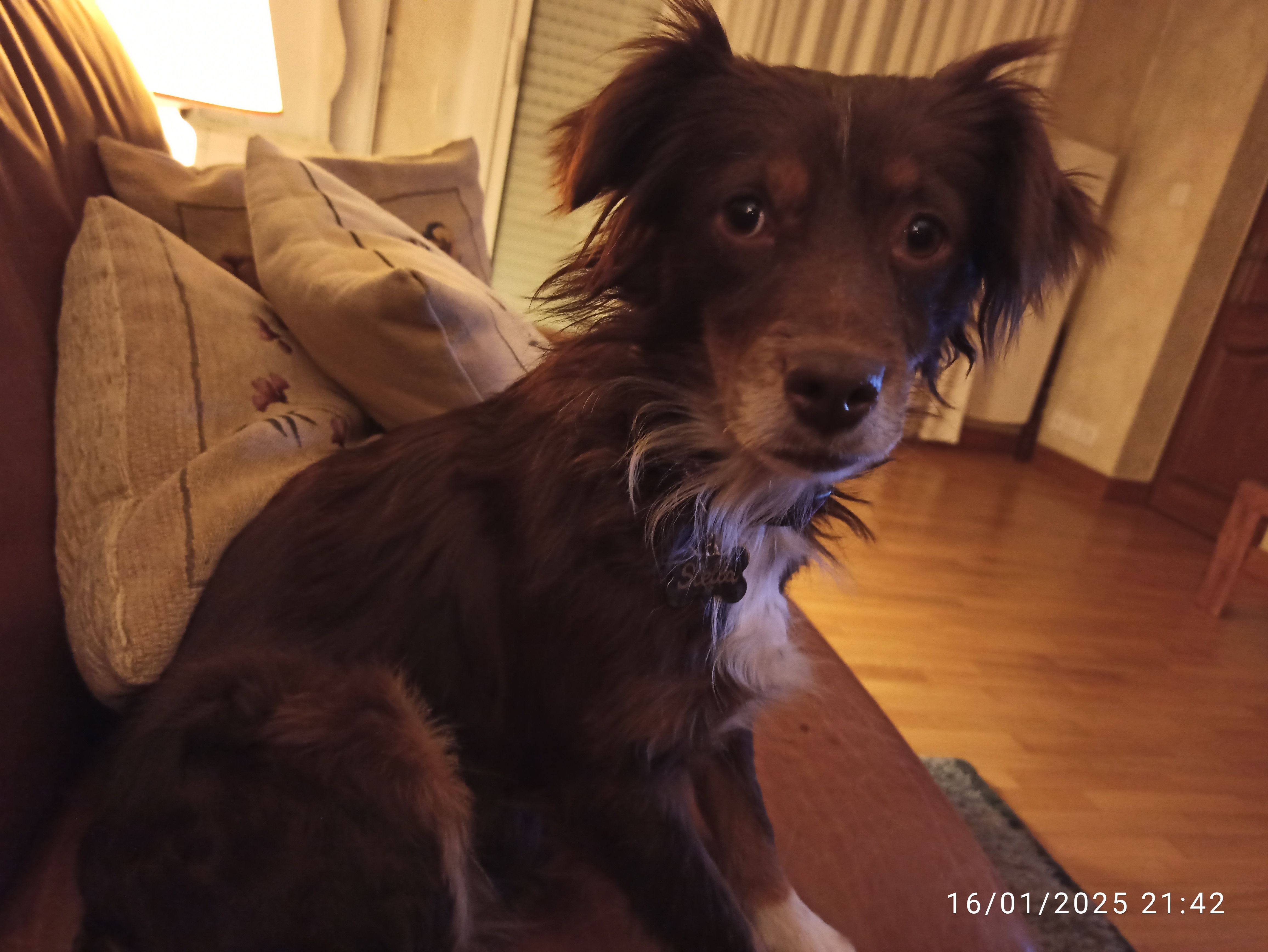 Stella - Avenue Des Lombards, Troyes