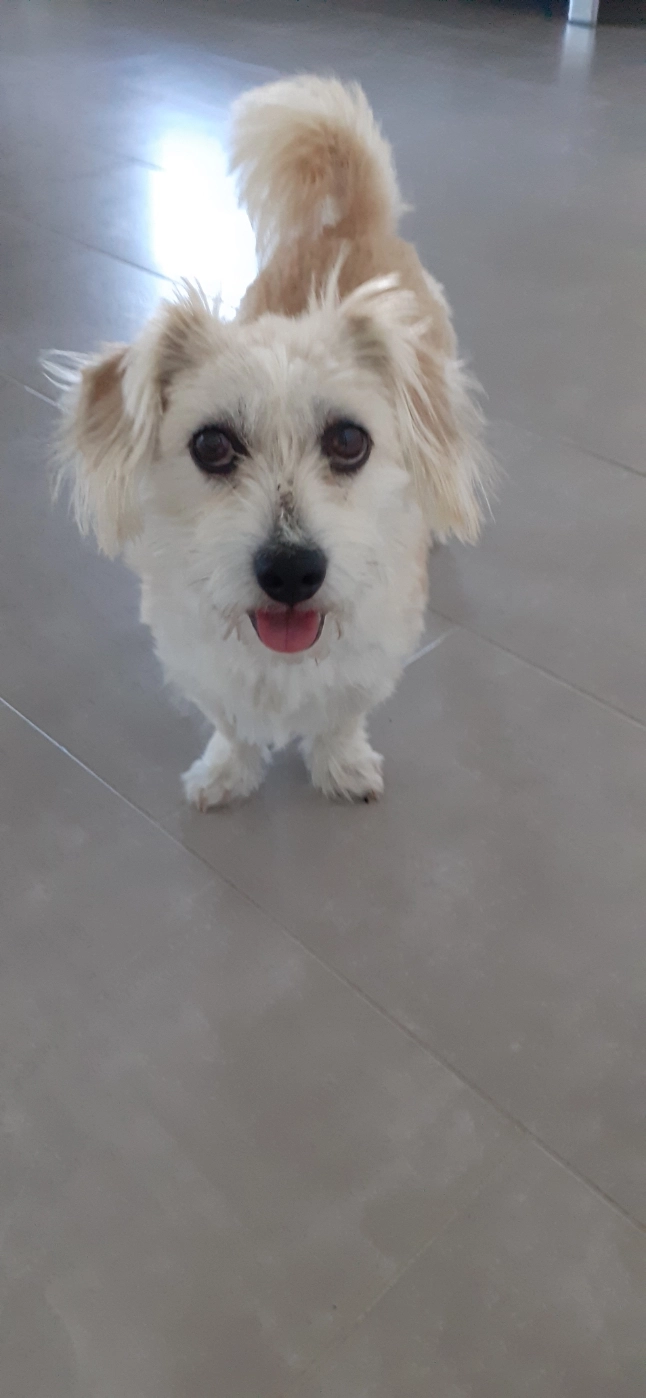 Nenette - Rue de Dampjoux, Villars-sous-Dampjoux