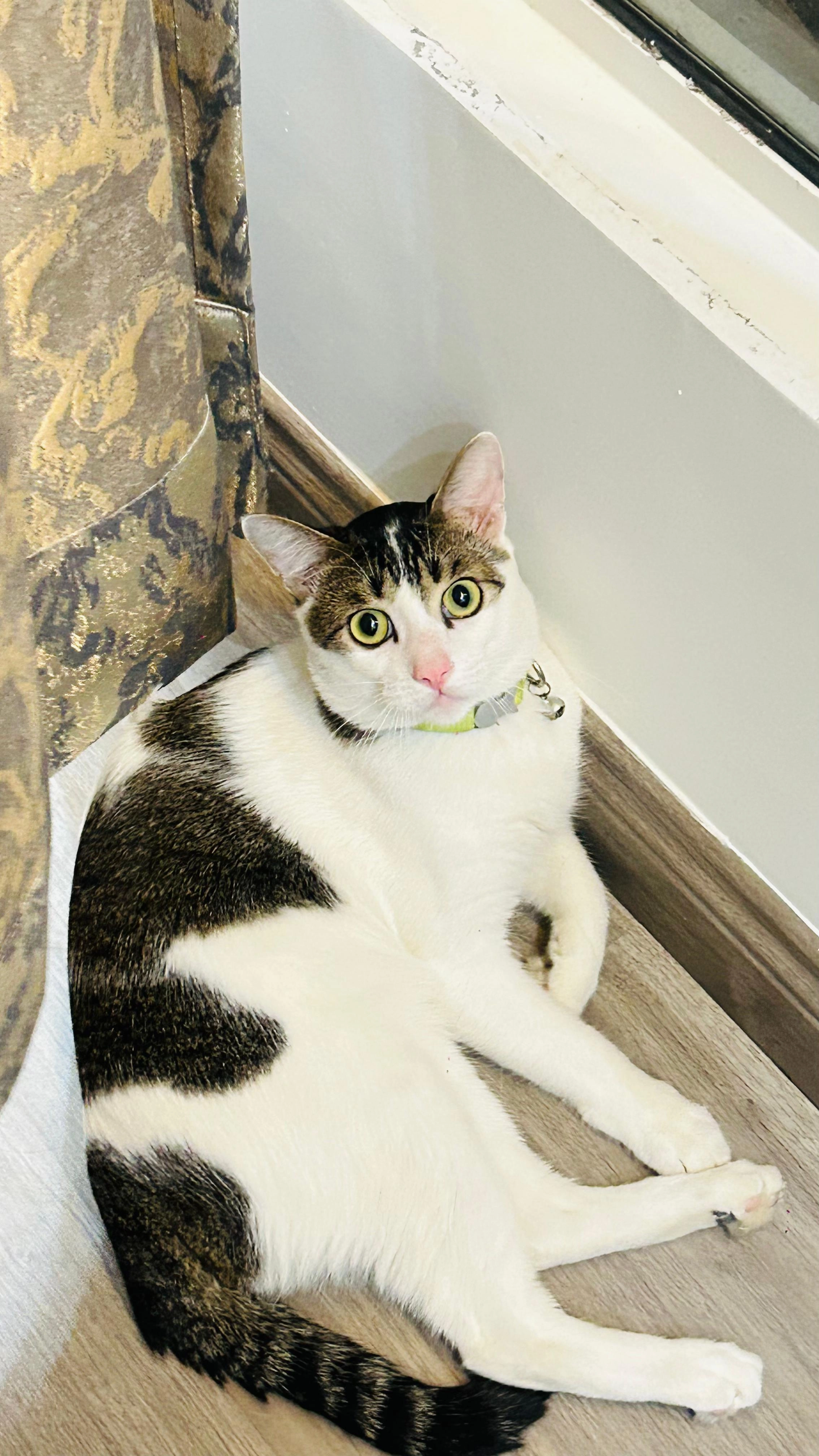 Mau - Sector 128, Noida