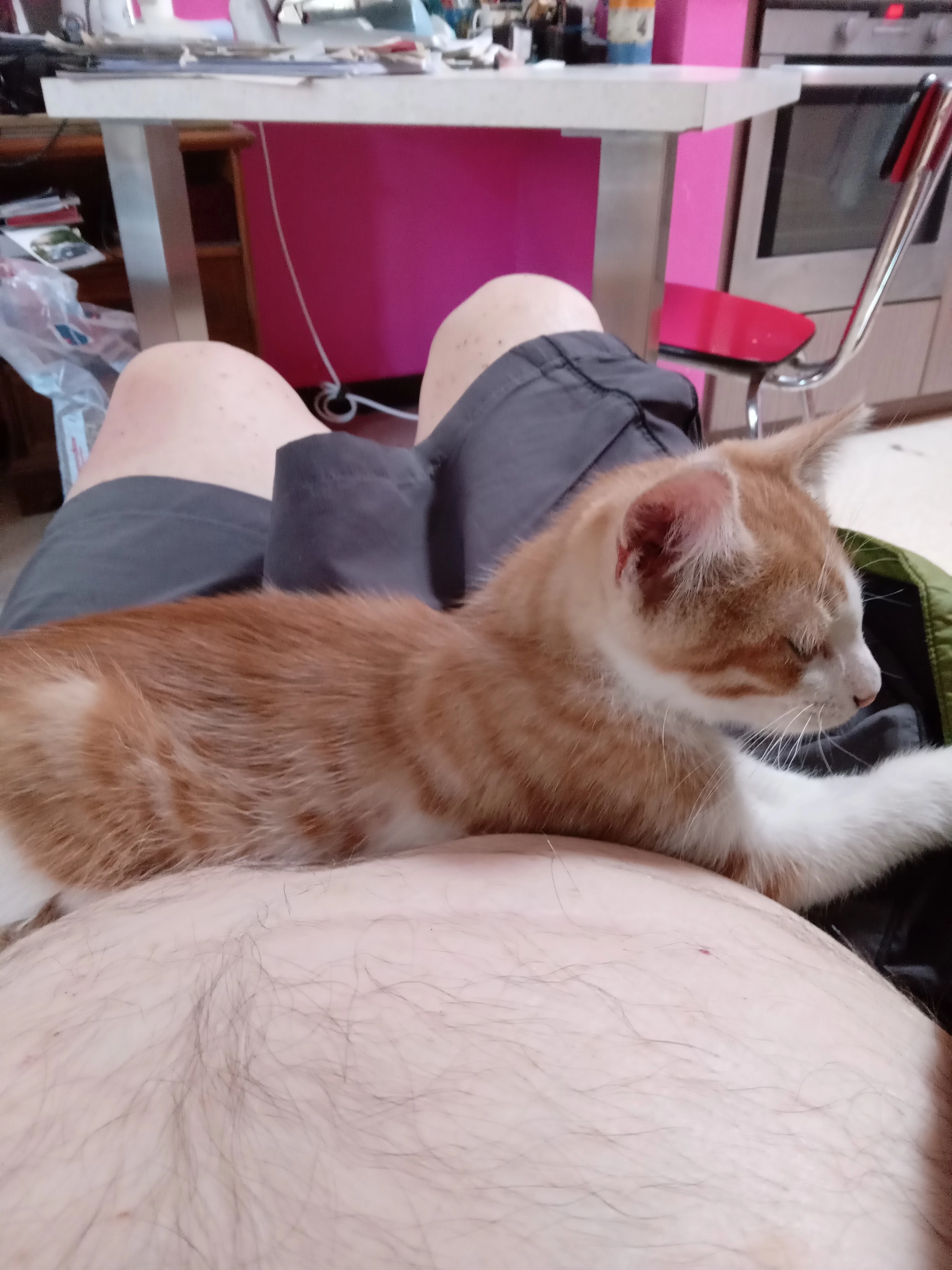 Miami - Rue de Namur, Liège