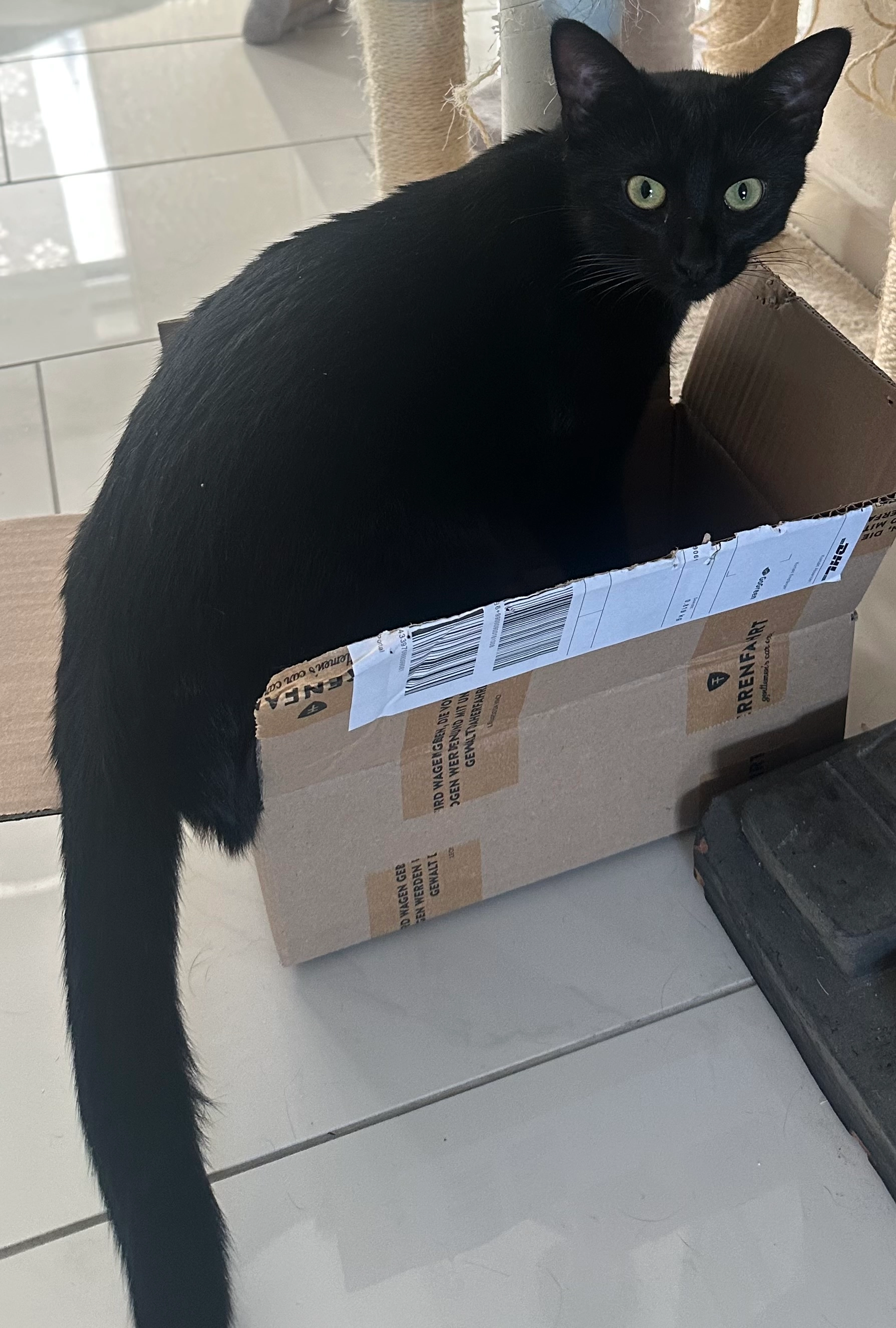 Lupita - Spechtweg, Eching