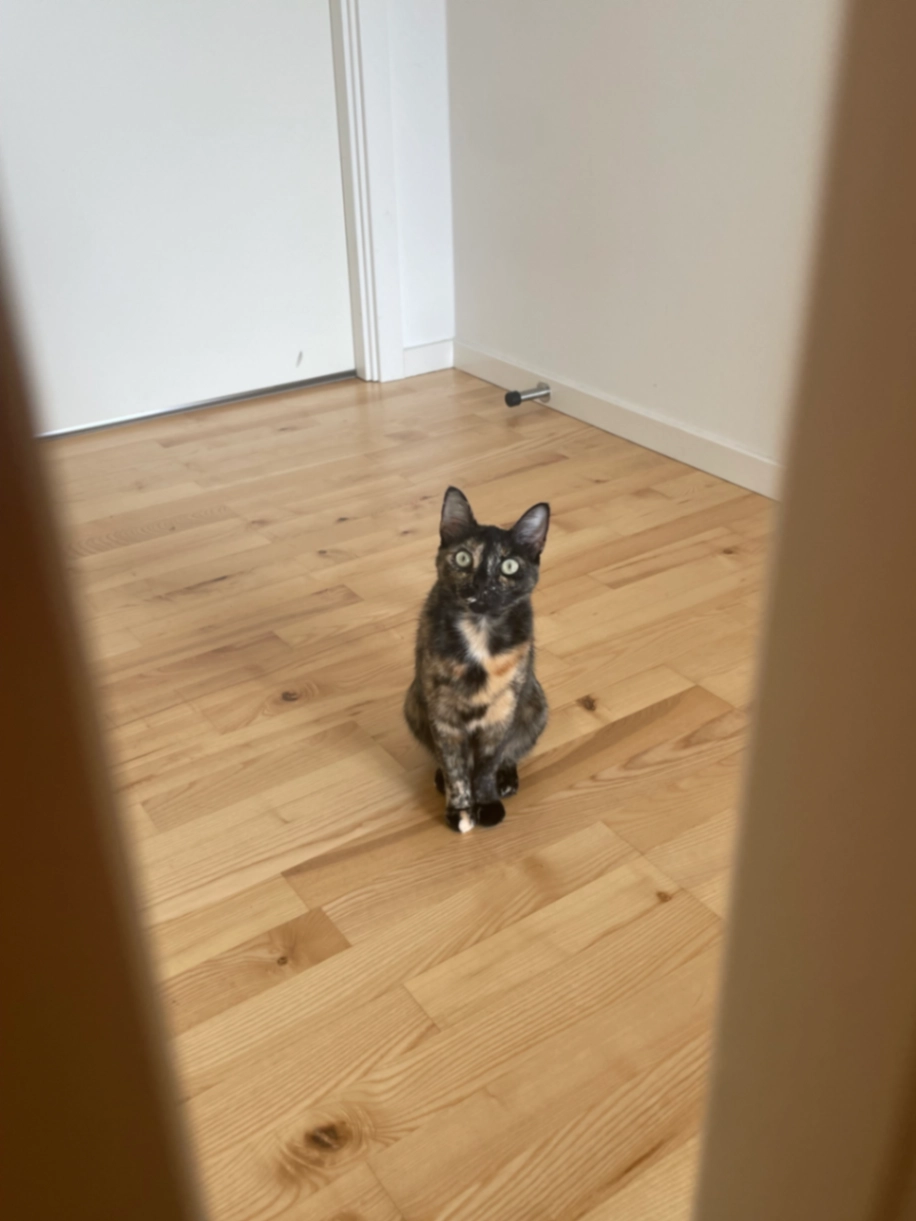 Mel - Rødovre Port, Rødovre