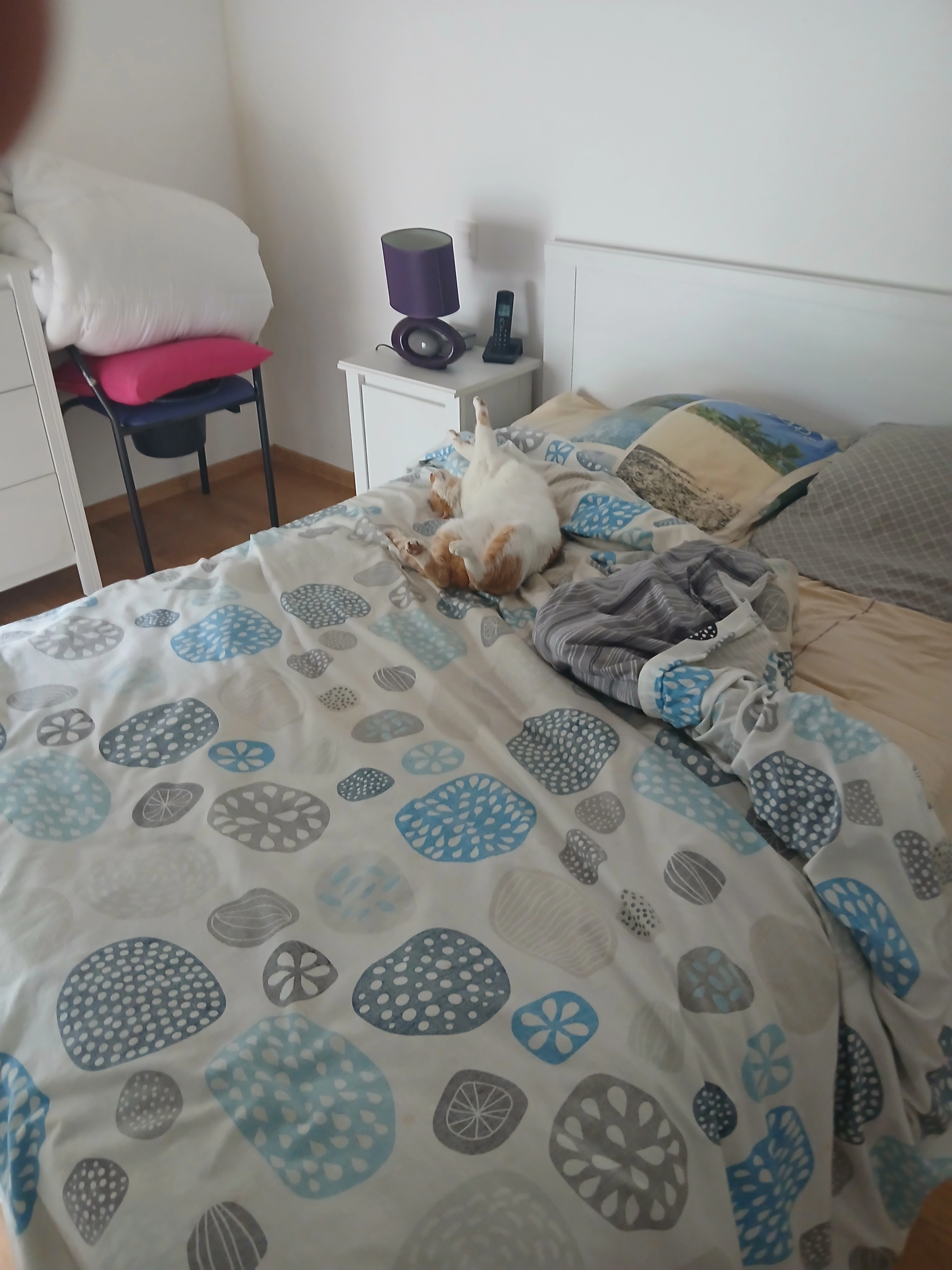 Osmose - Rue du Stade, Cancale