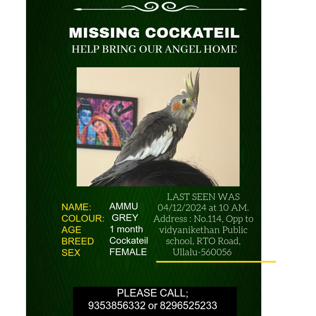 Ammu - Ullal Main Road, Bengaluru