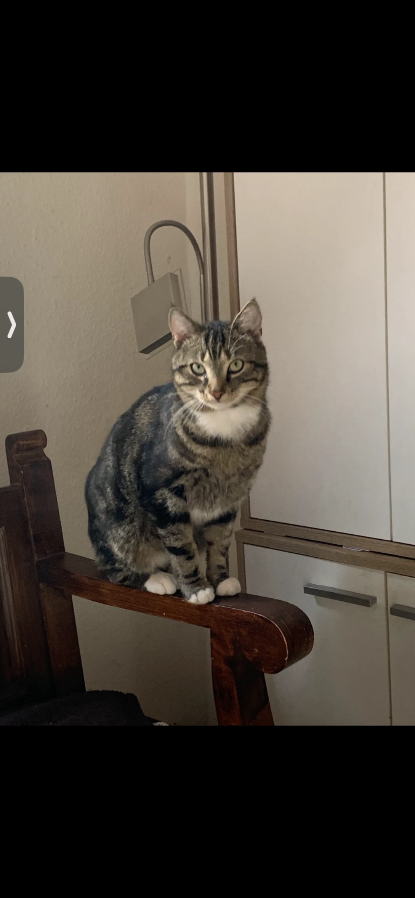 Ruby - Pablo-Picasso-Straße, Baesweiler