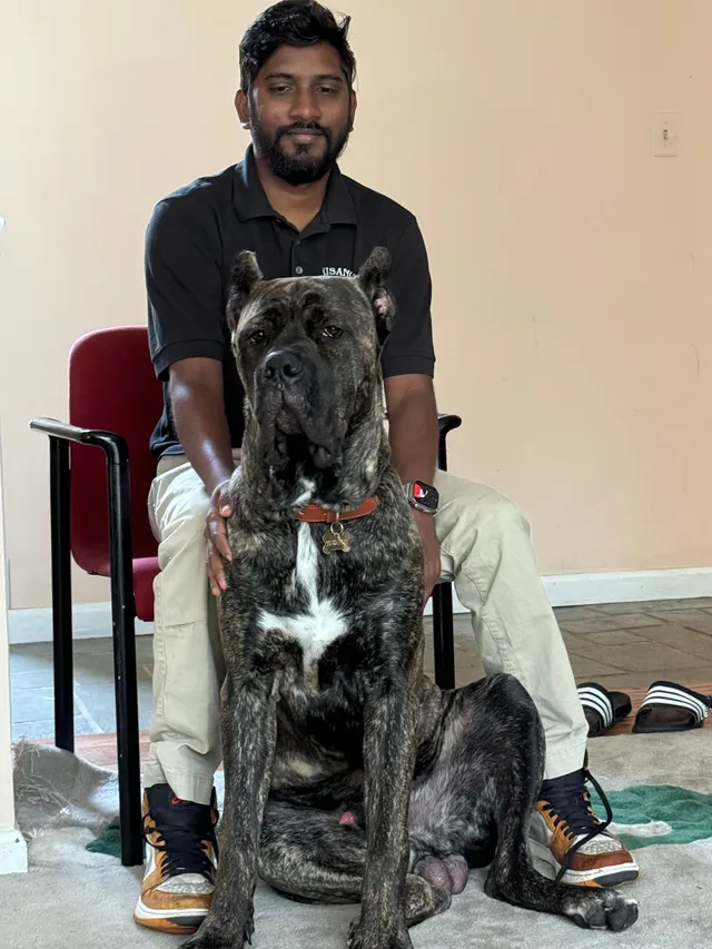 Rocko  - Dustin Road, Burtonsville