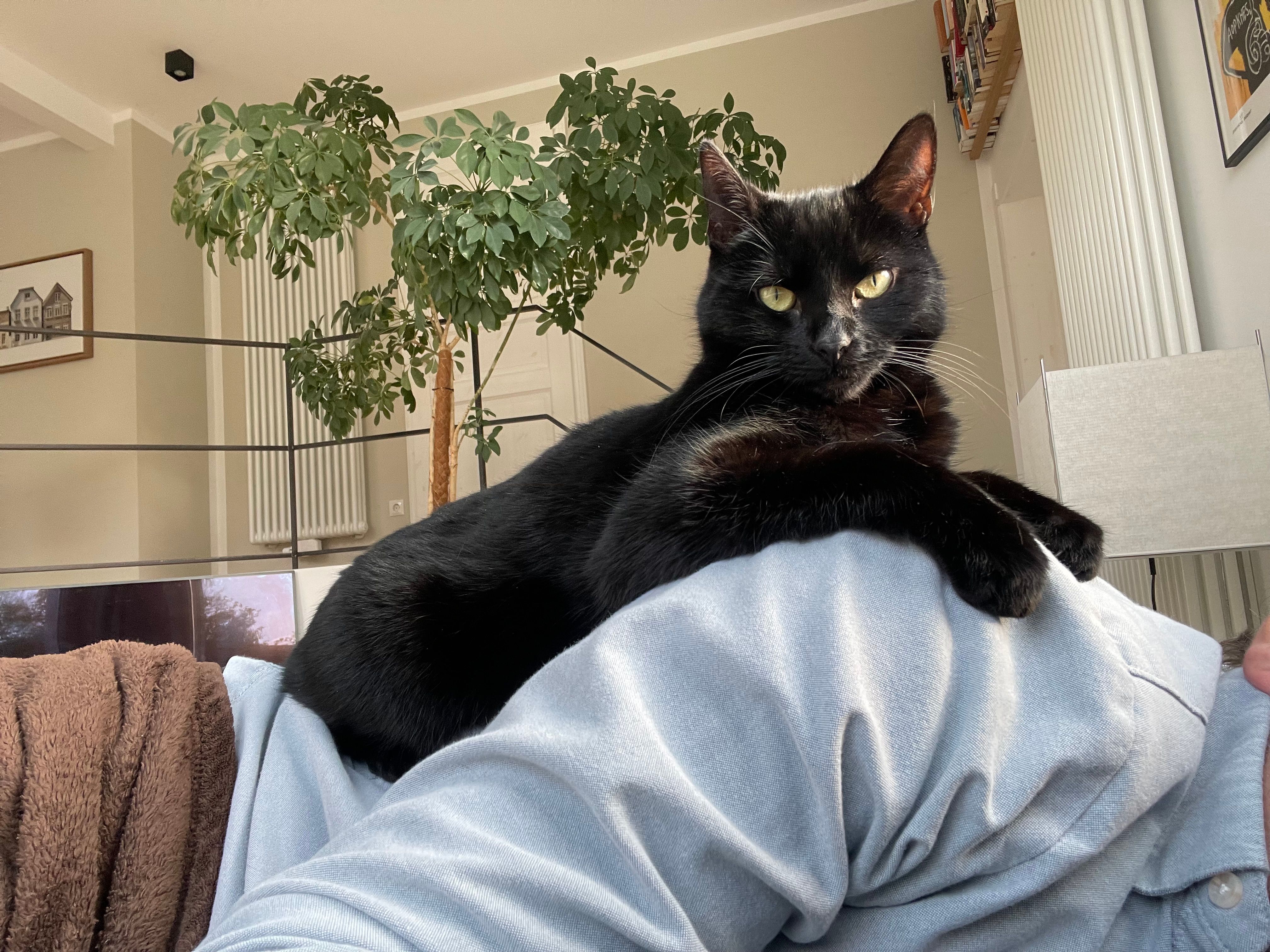 Rosi - Marschweg, Oldenburg