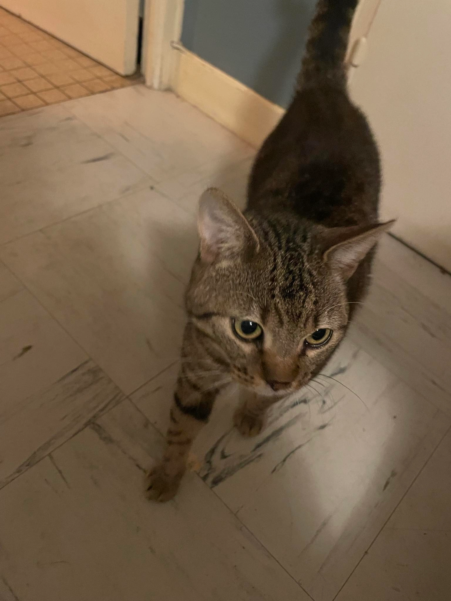 Uno - 17 La Croix Vilvert, Orches