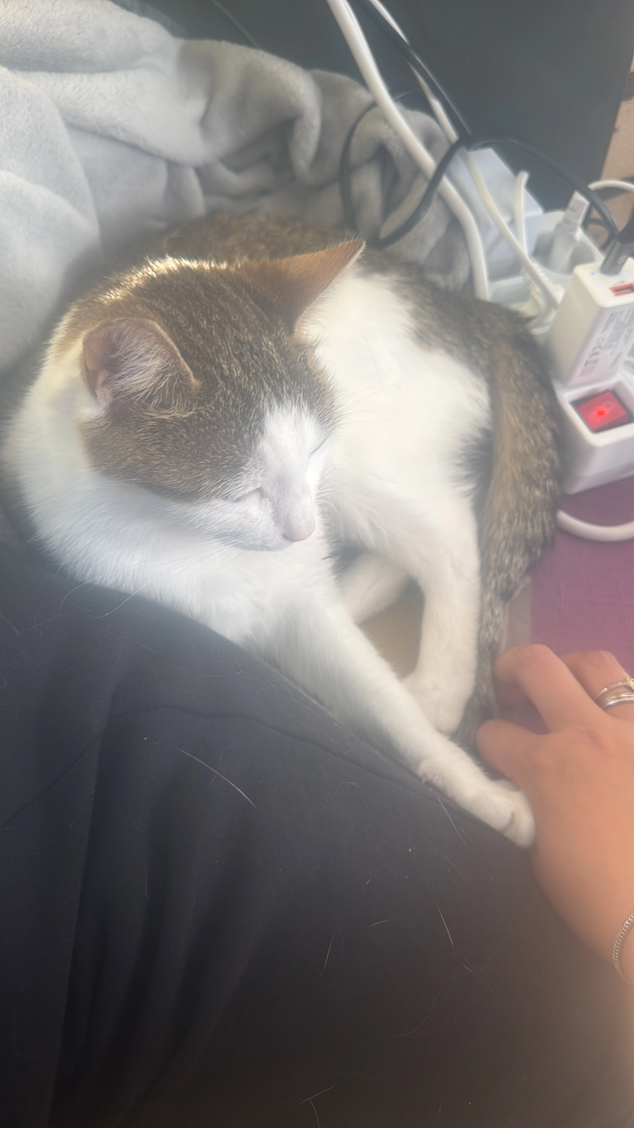 Lilo - Am Sandberg 20, Medelby