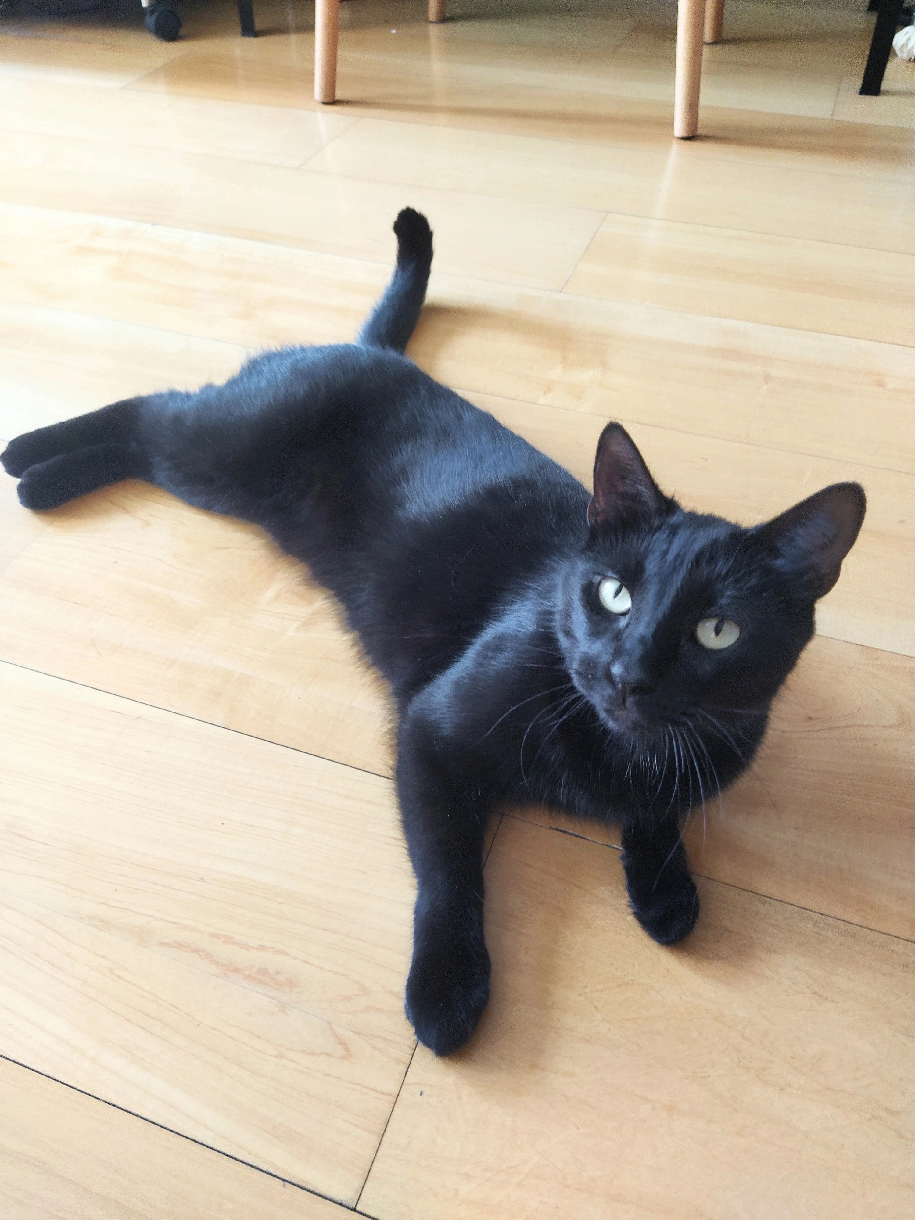 Eva  - Carrer De Sant Vicenç, Barcelona