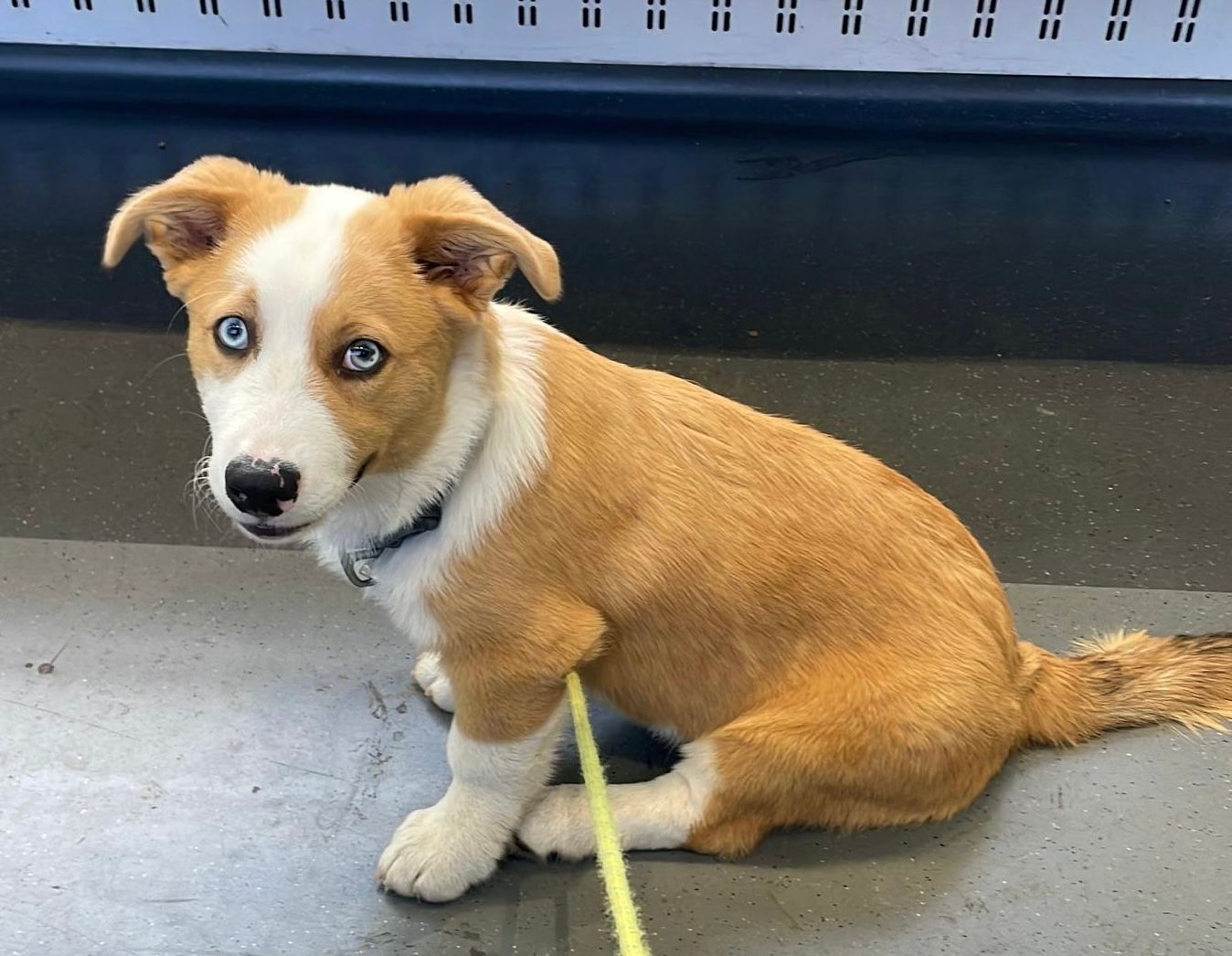 Obi  - IJsselmeerstraat, Noord-Holland