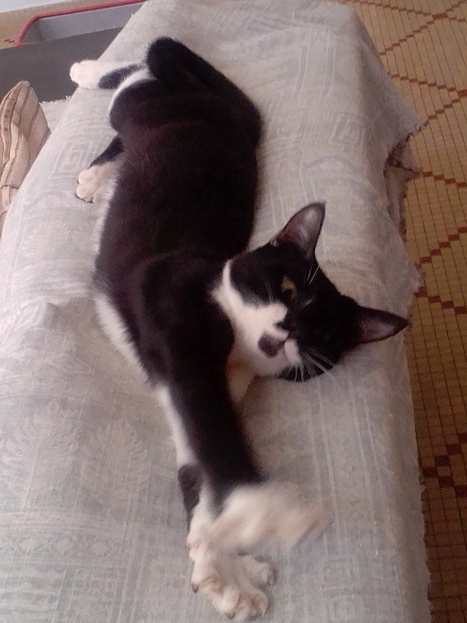 Utopia - Chemin Latéral, Roissy-en-Brie