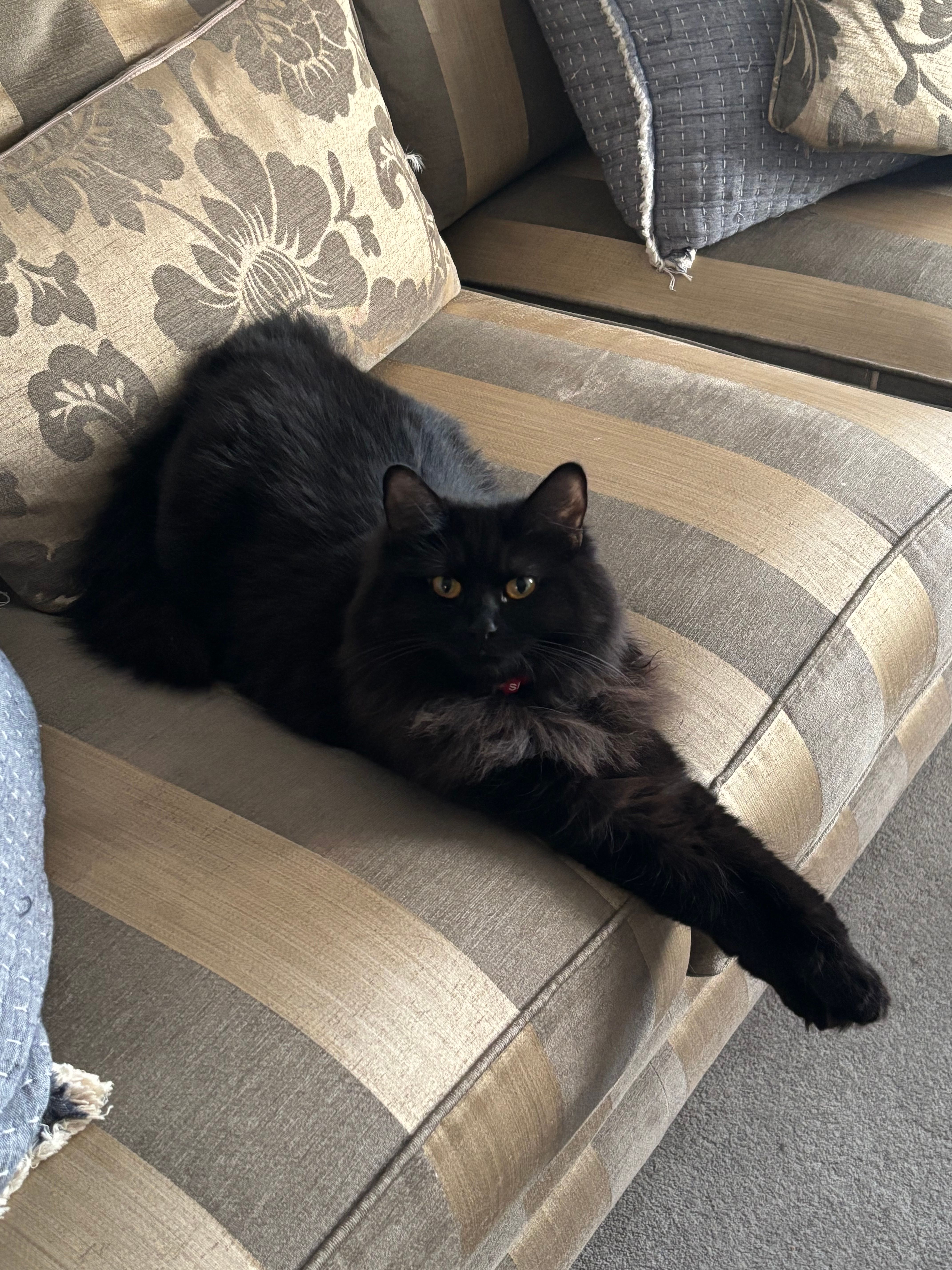 Mara - Kelham Road, Newark-on-Trent