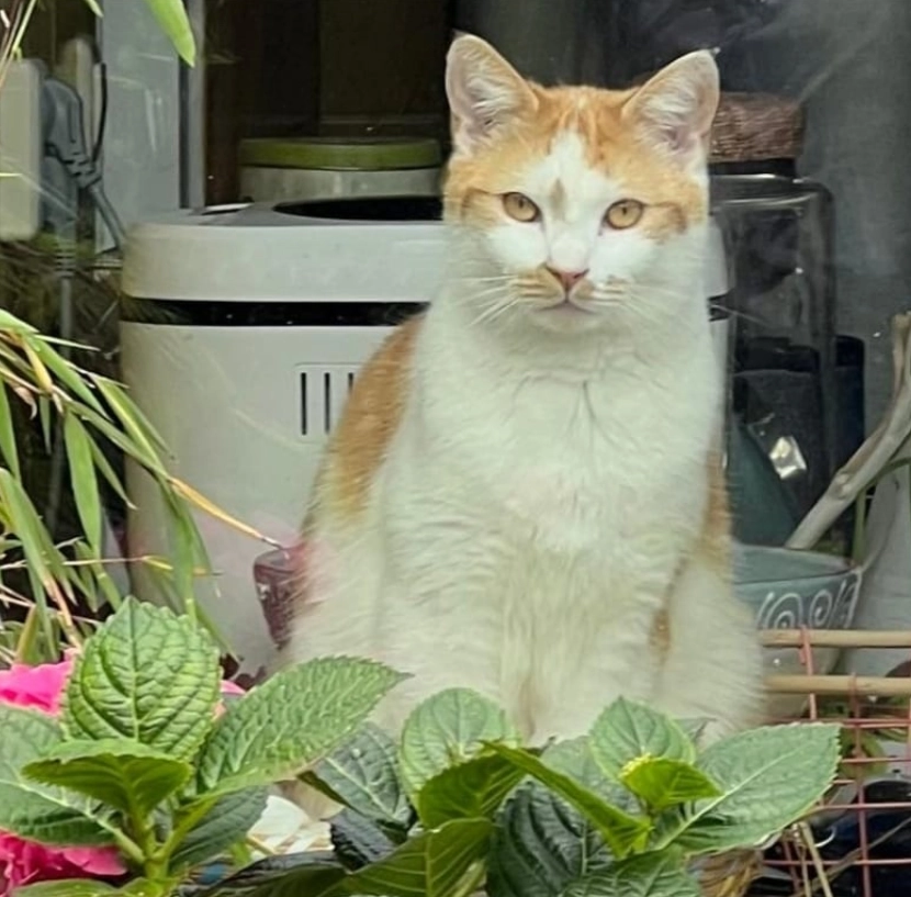 Zuko - Kantemarsweg, Hoevelaken