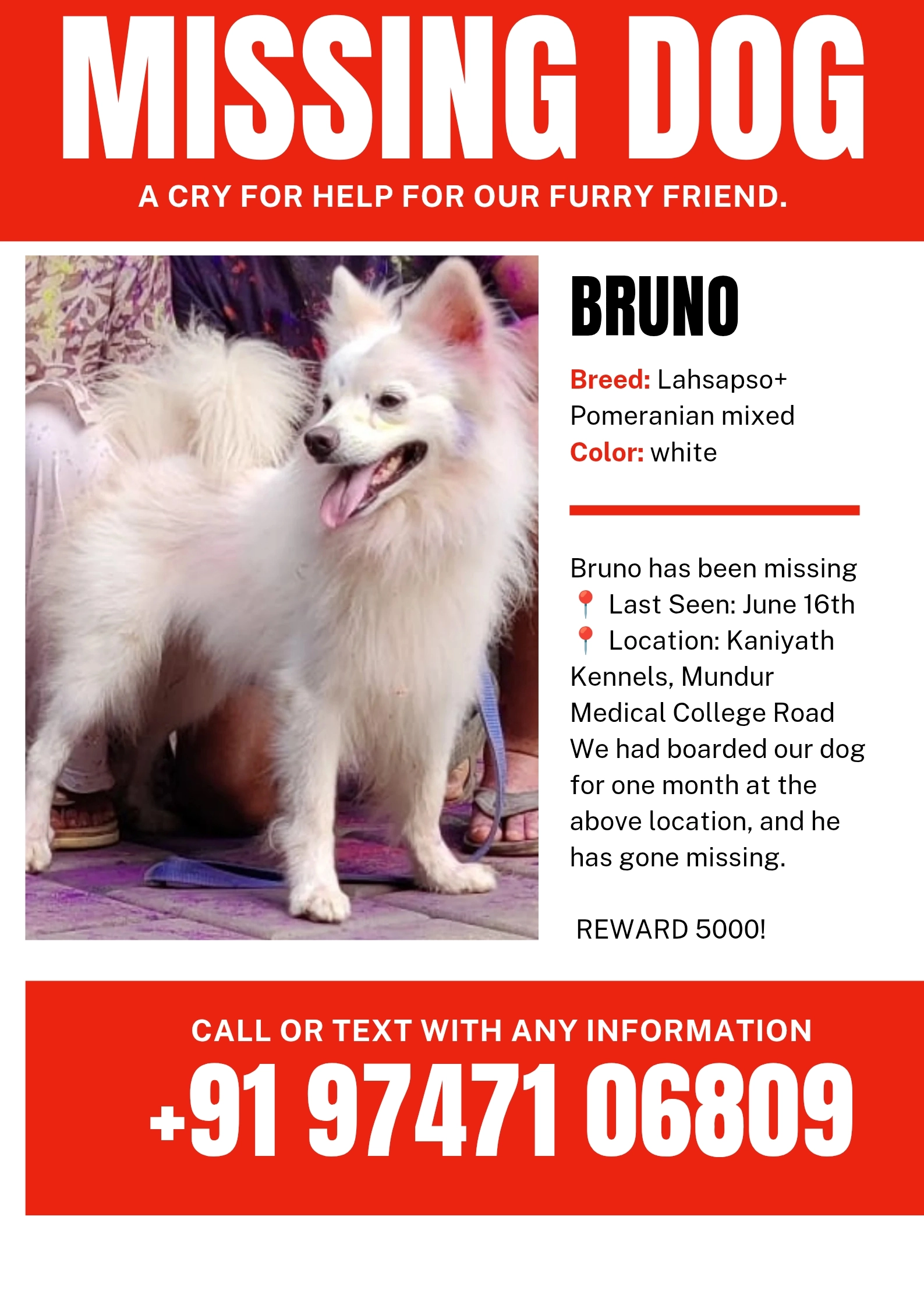Bruno - Medical College Road, Thrissur
