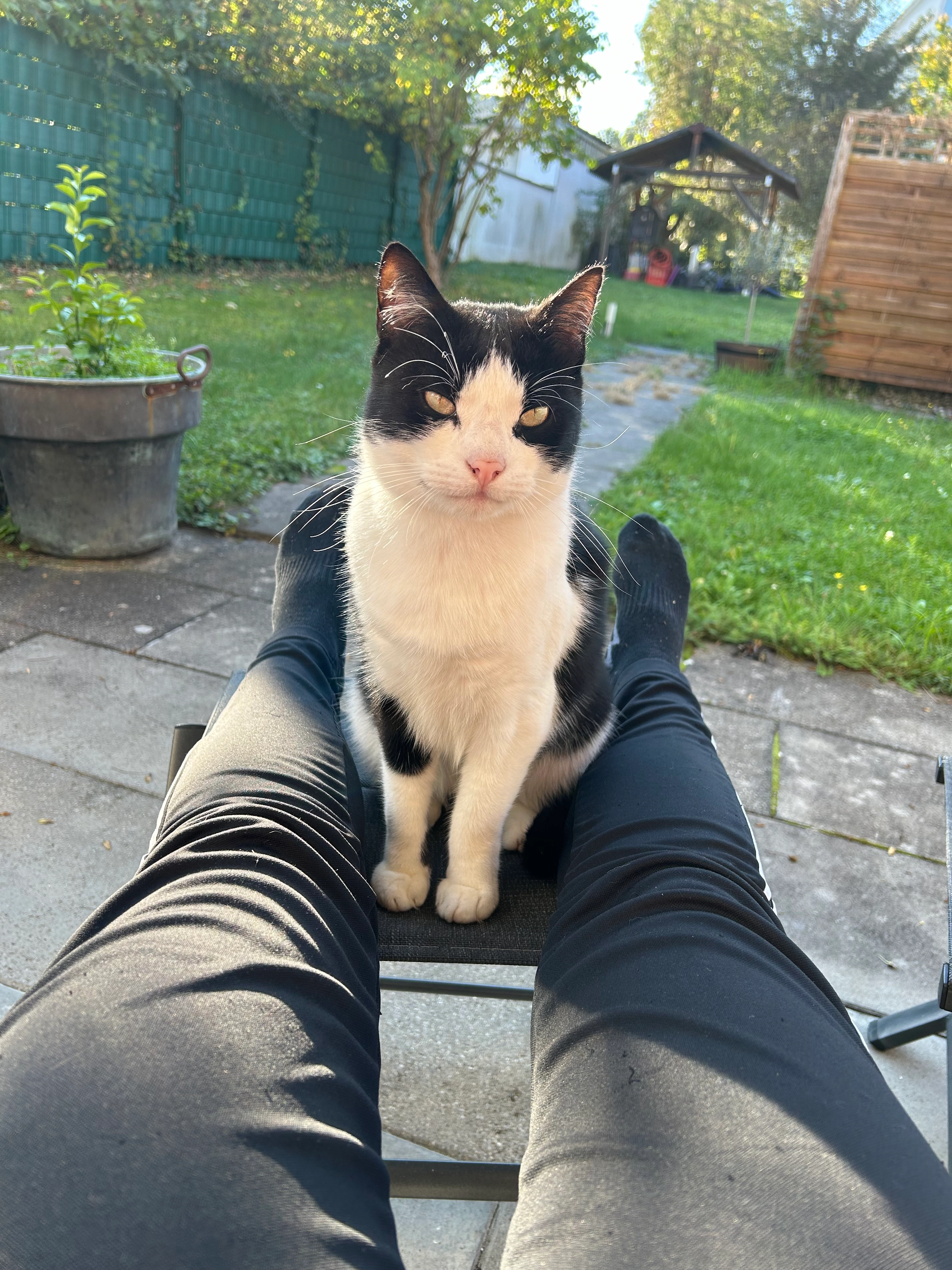 Panda - Tobelstraße, Weinstadt