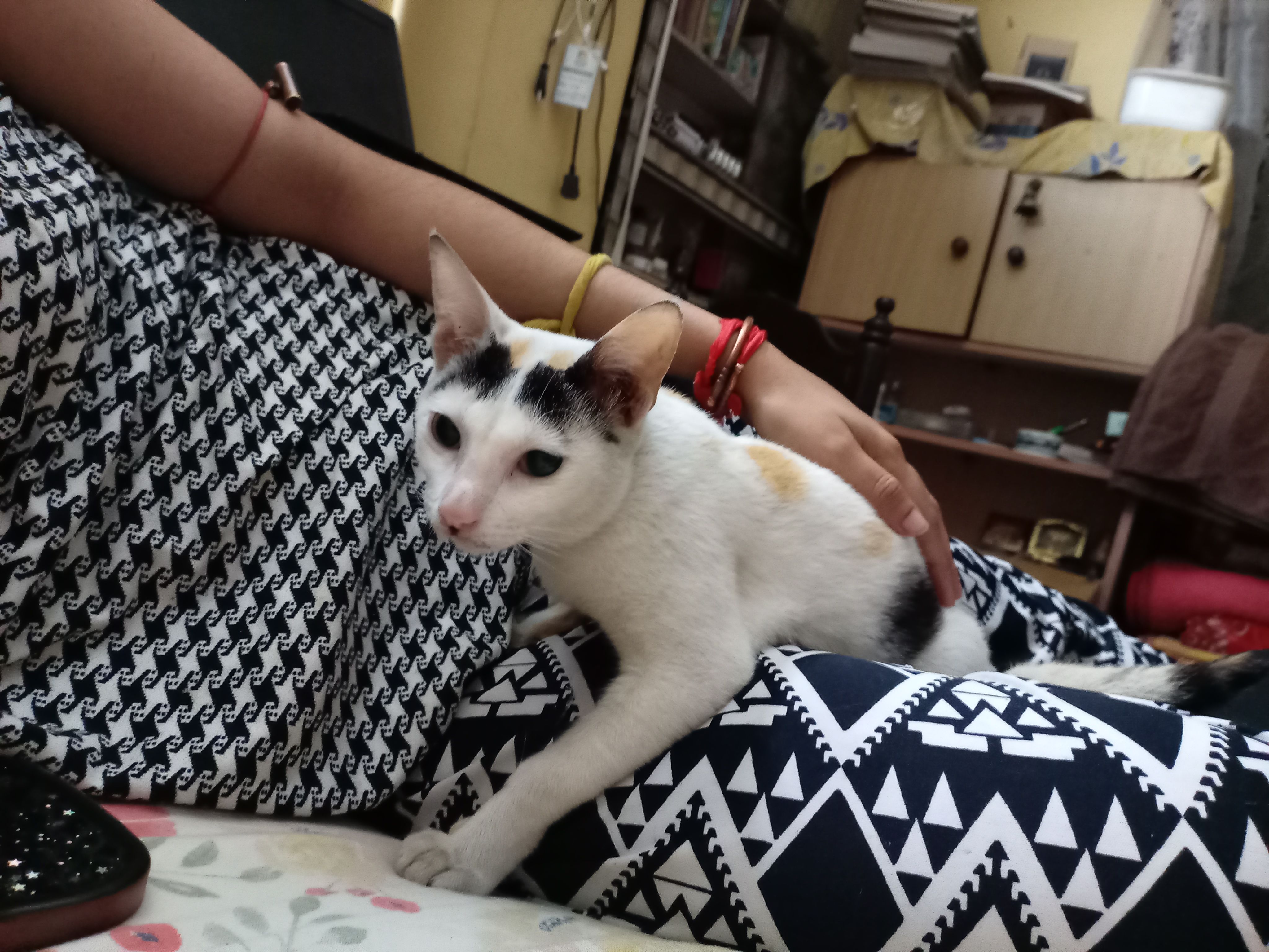 Puli - Rajgarh Road, Guwahati