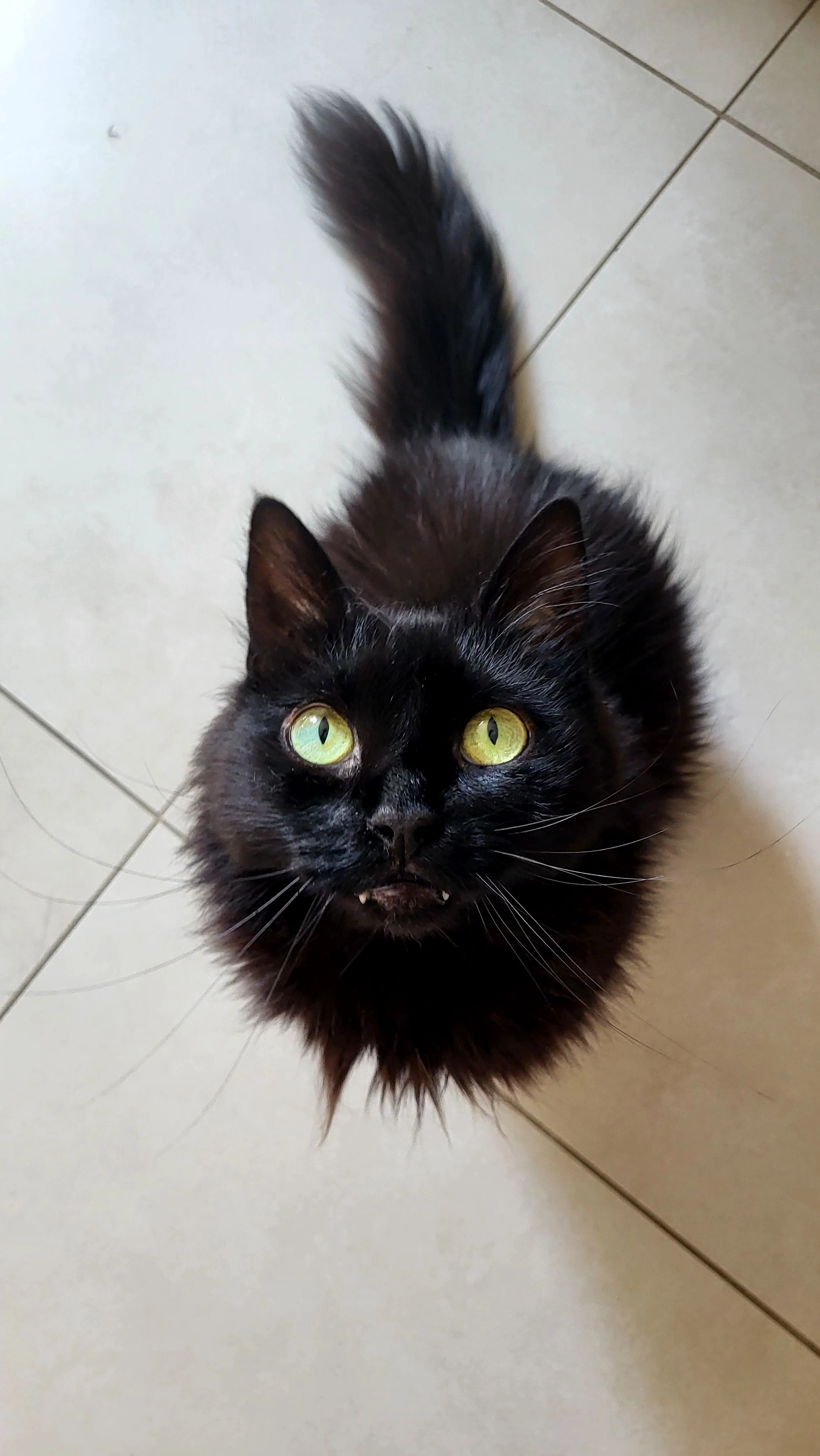 Teïto - 470 Route de Bigary, Suze-la-Rousse