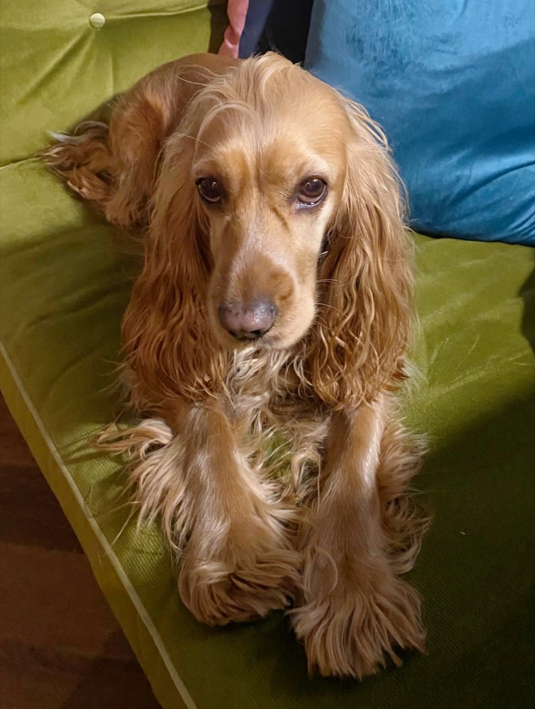 Tosia - CB24 8, Cambridge