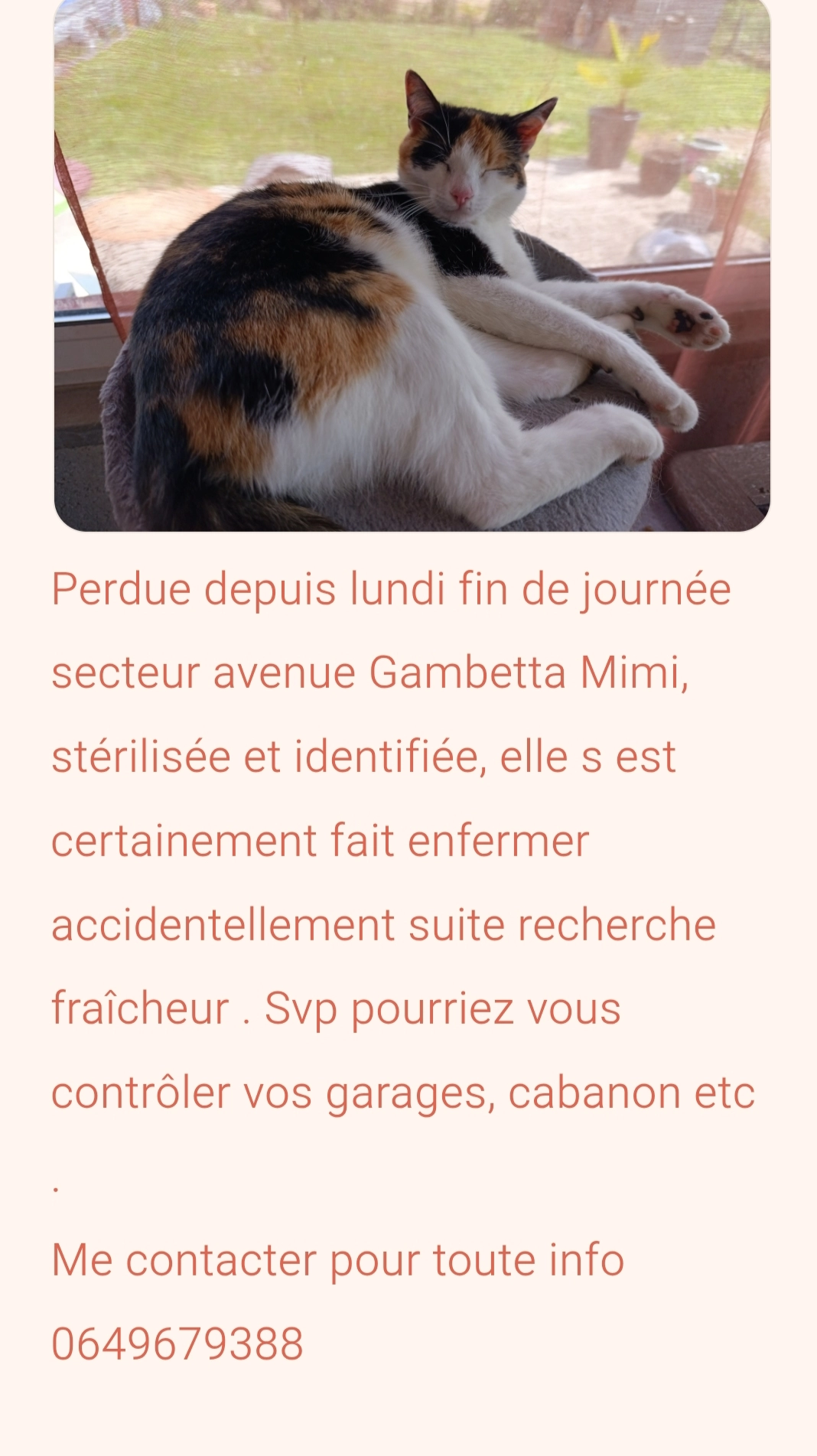 Mimi - Avenue Gambetta, Castelnau-de-Médoc