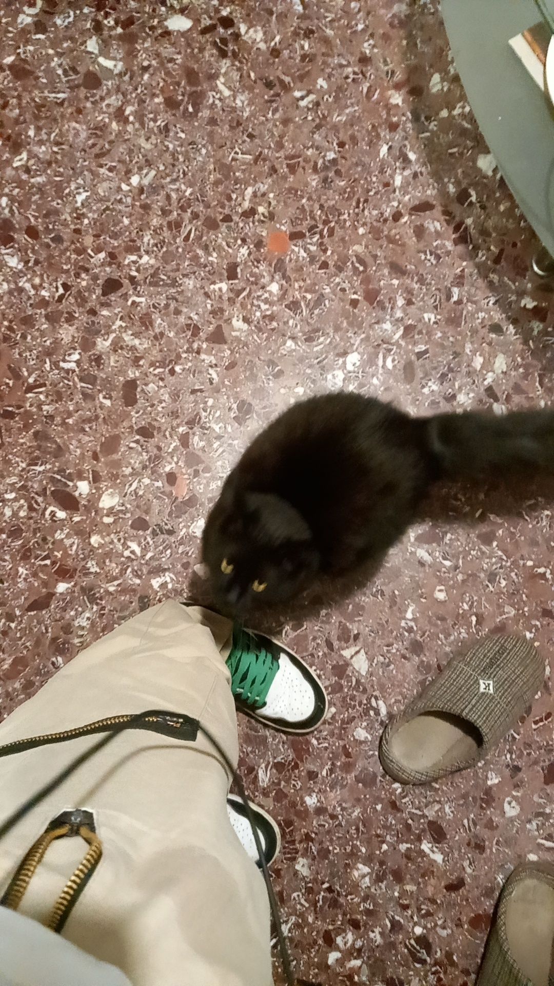 Nala - Νικολάου Πλαστήρα, Korydallos