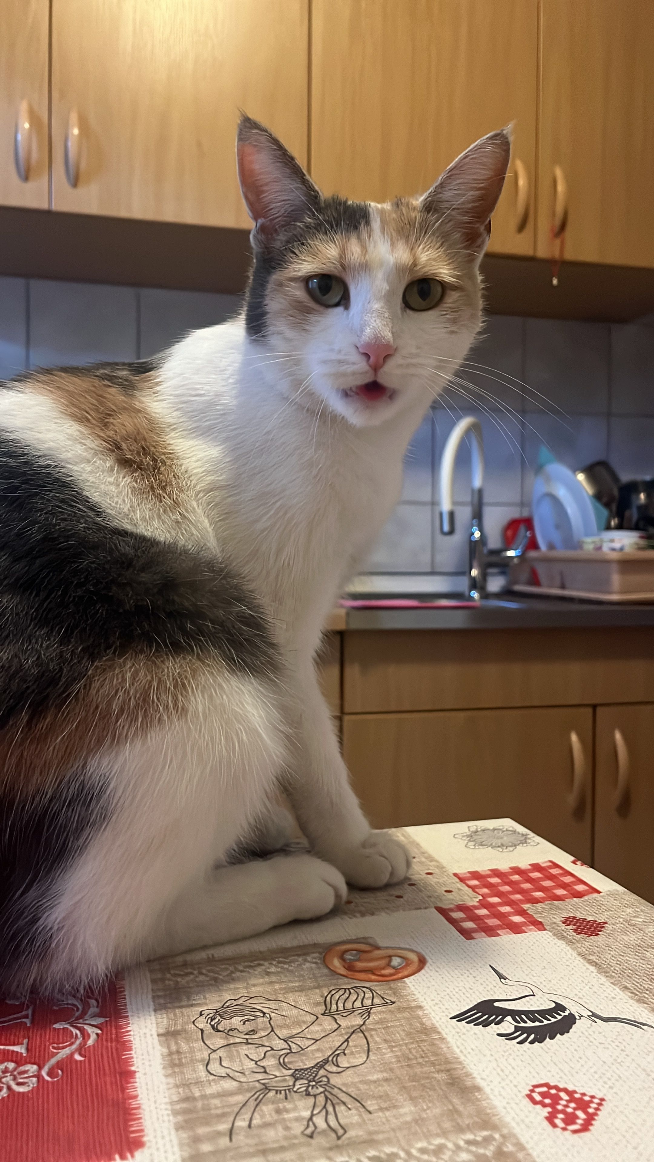 Lili - Virska ulica 9, Zagreb