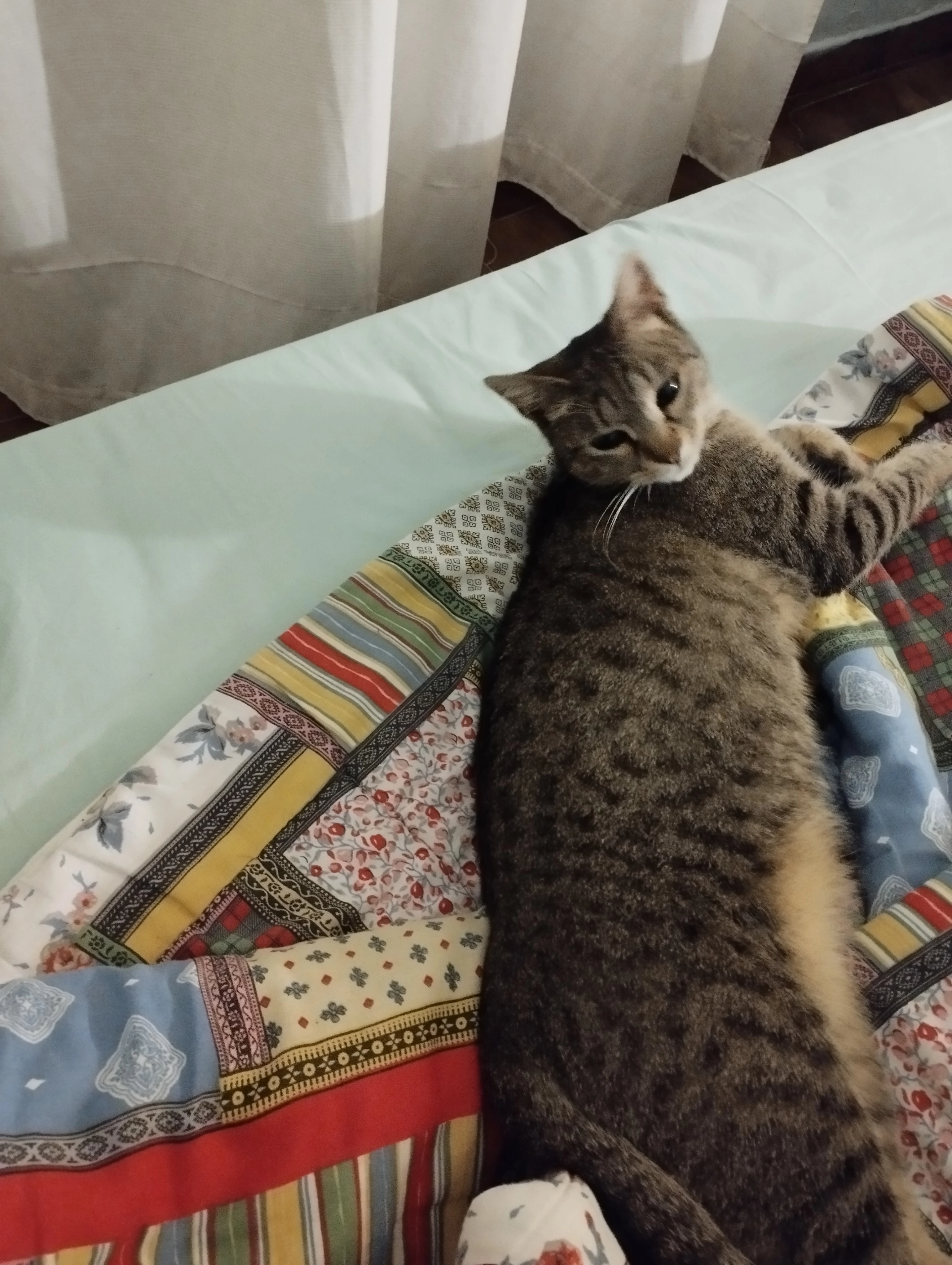 Puffy - Σικίνου, Athens