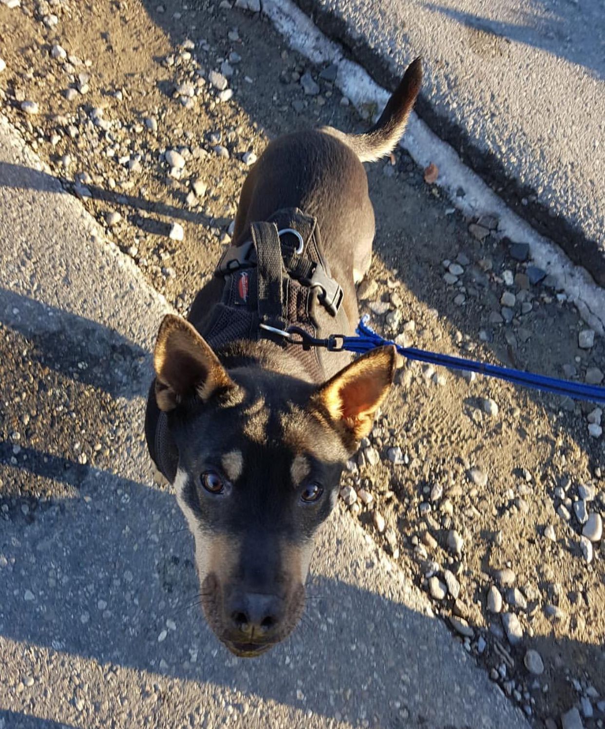 Luna - Birchistrasse, Beatenberg