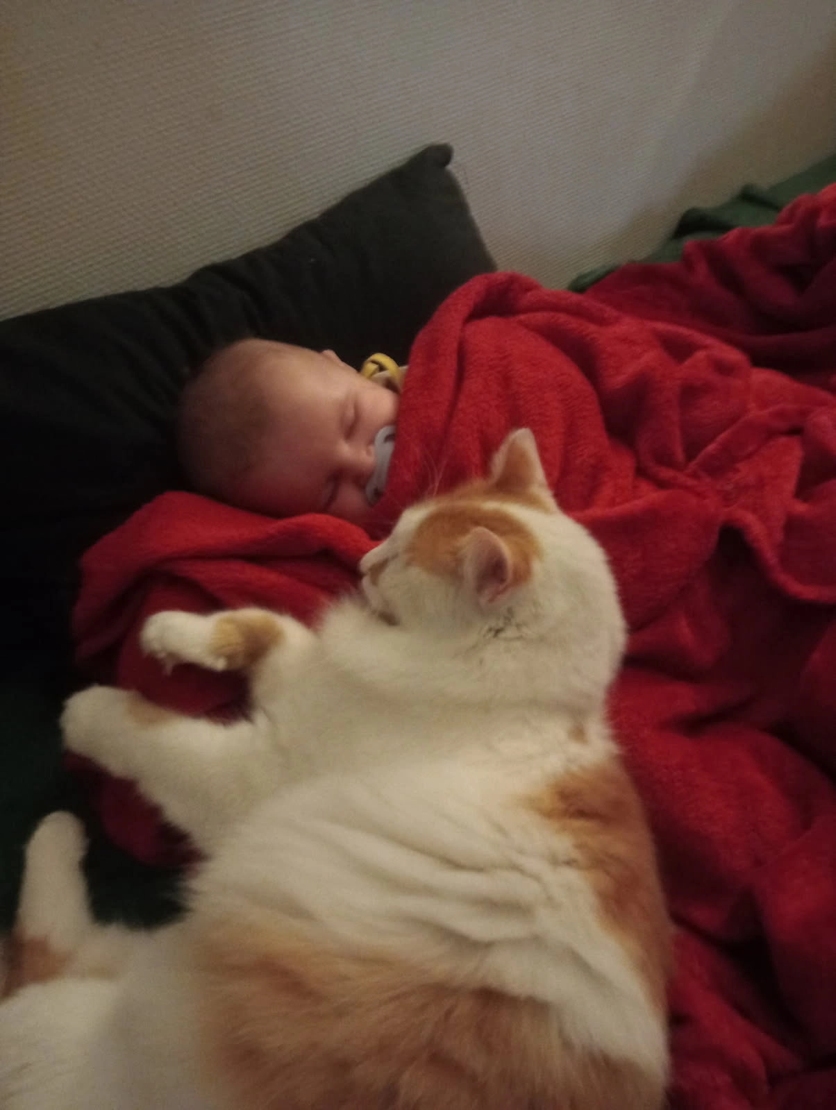 Noisette  - 4 Rue de Verdun, Brassac-les-Mines