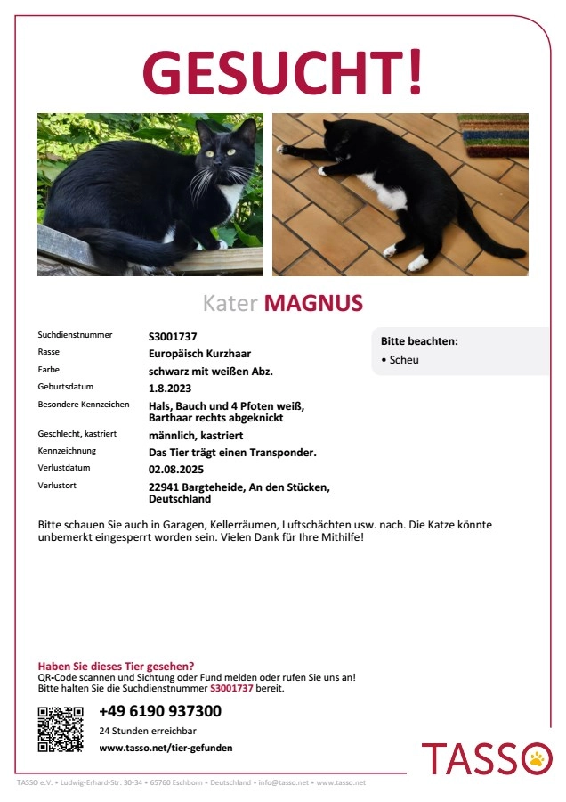 Magnus  - An den Stücken, Bargteheide