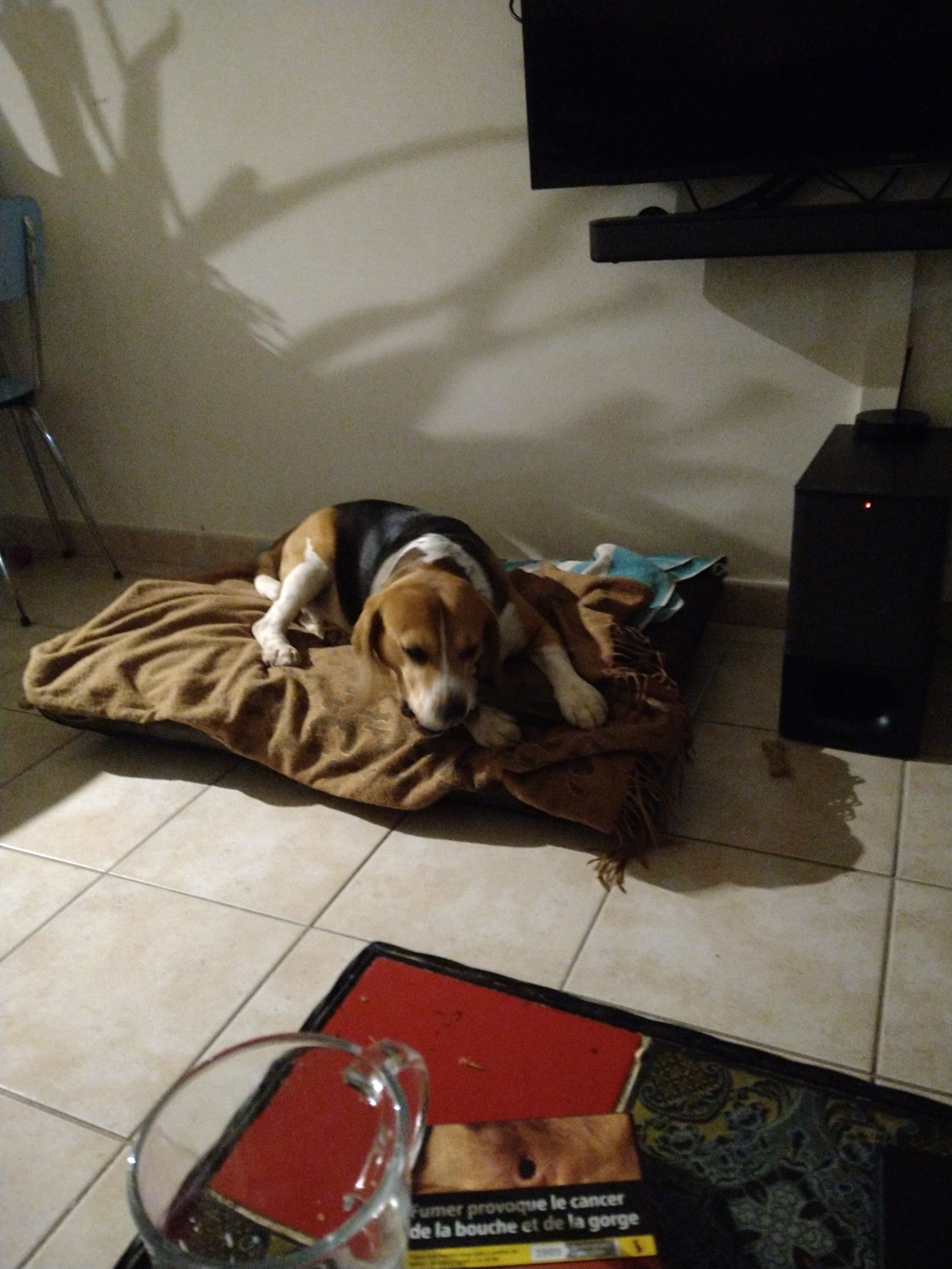 Luke - Rue Ali Ben Chekhal, Montpellier