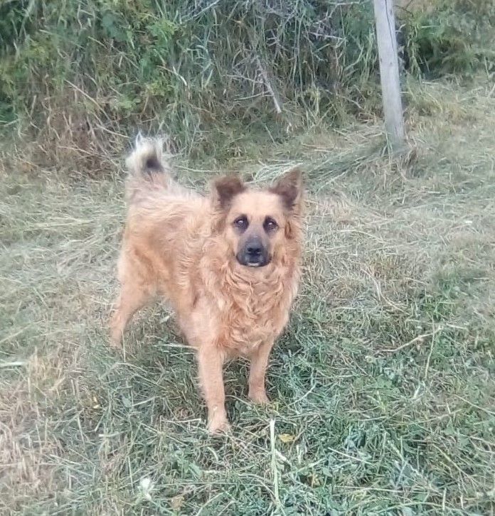 Raja - 407230, Ciurila