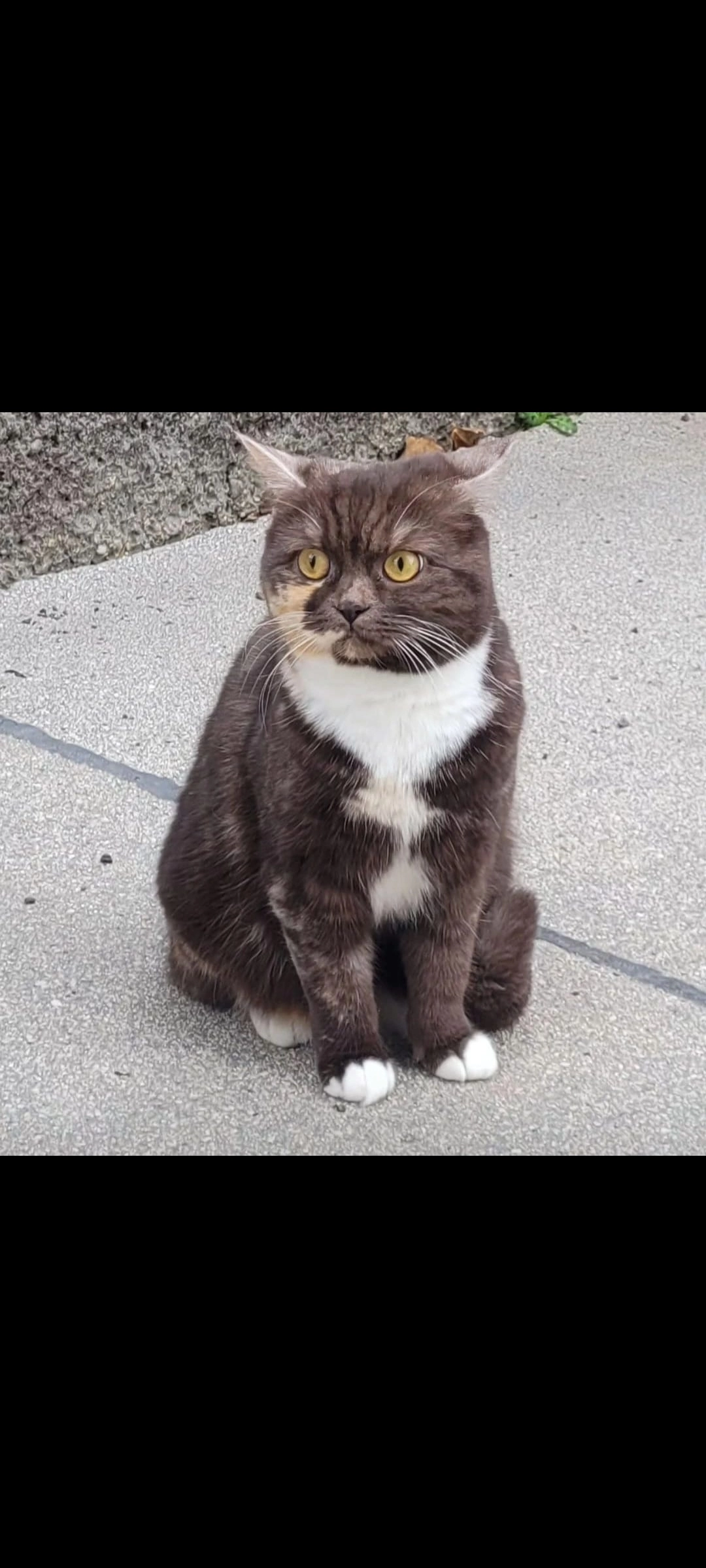 Lucy - Breitenfurter Straße, Wien