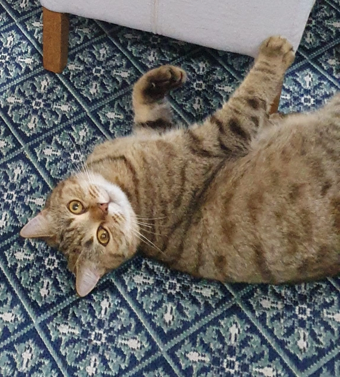 Tima - 66649, Oberthal